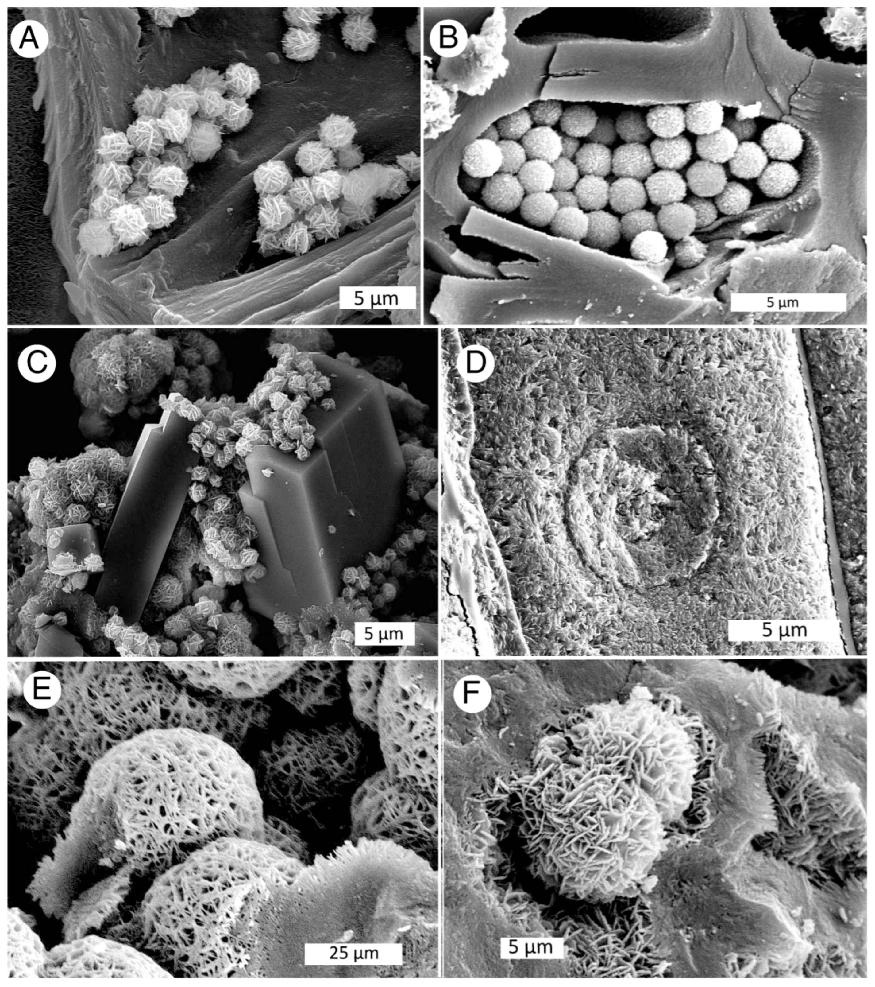 Minerals 13 01471 g033