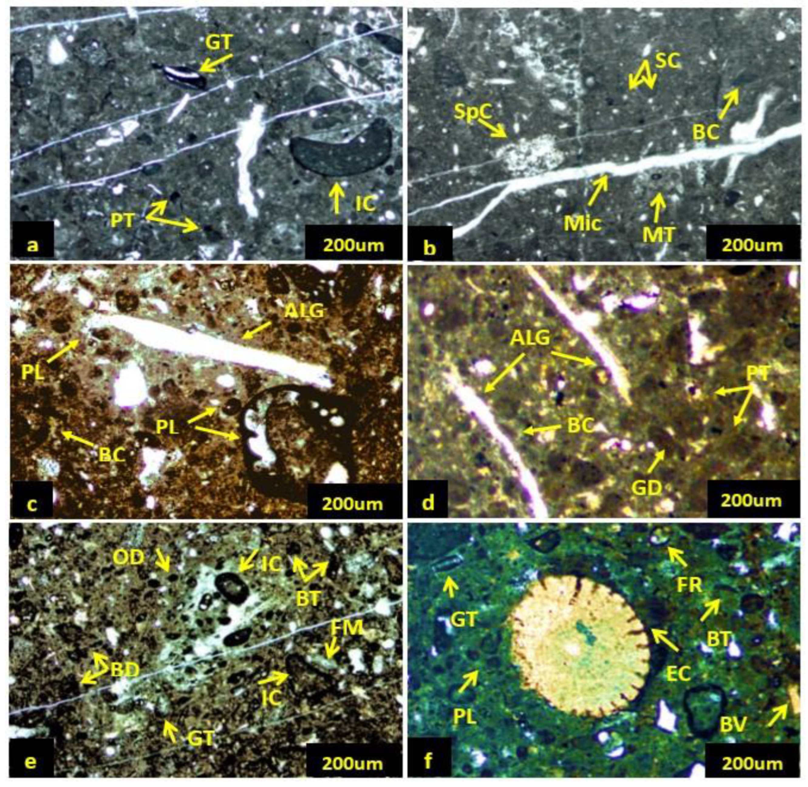 Minerals 13 01474 g004