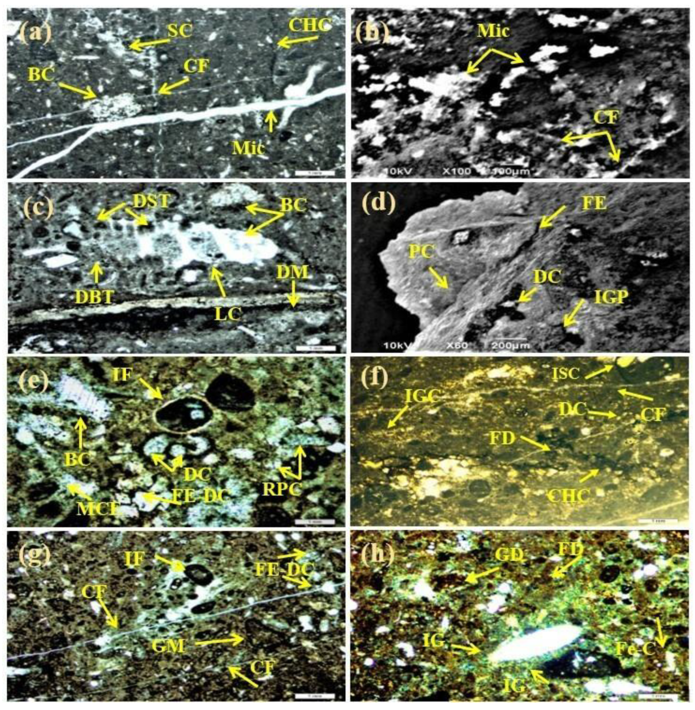 Minerals 13 01474 g005