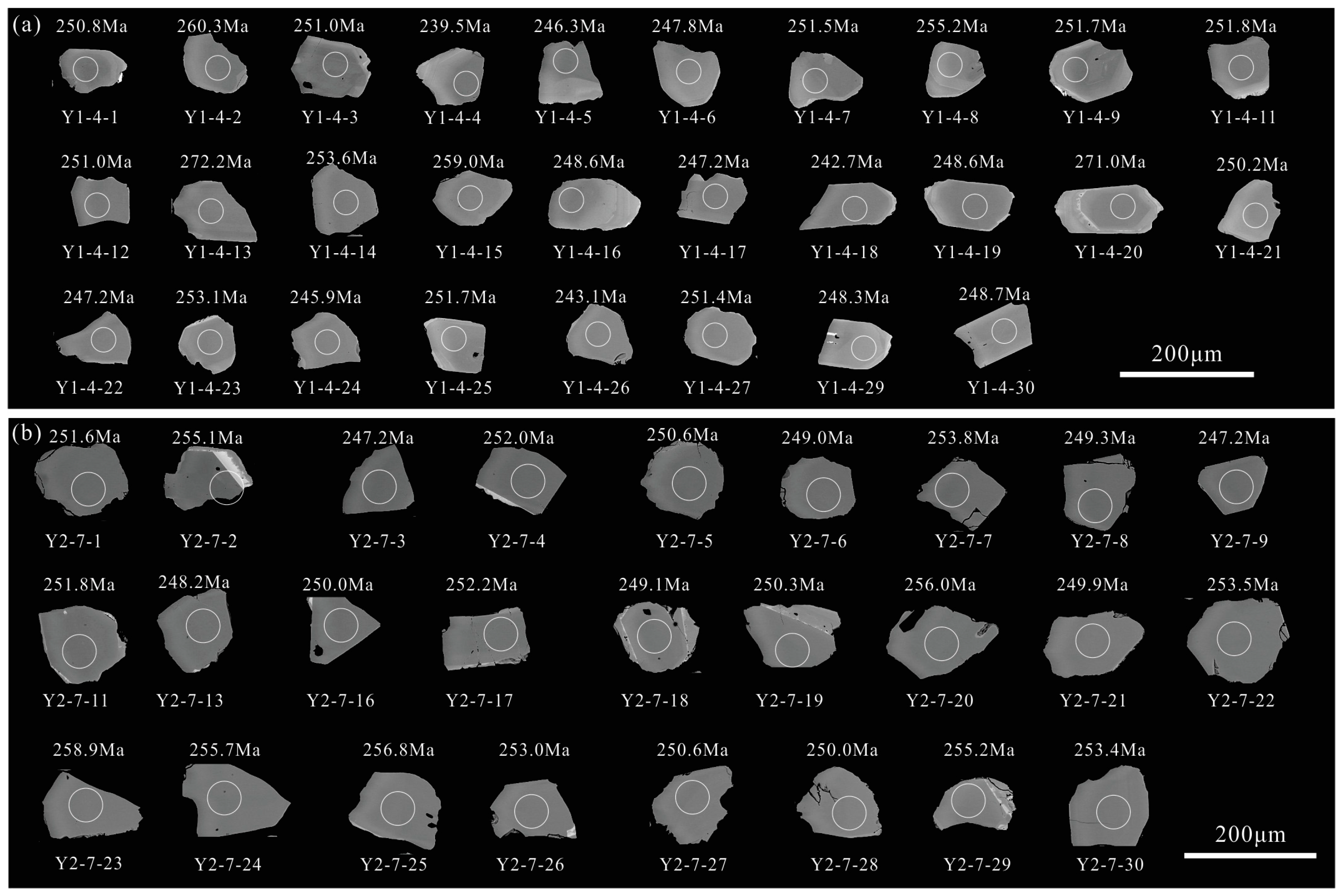 Age and Petrogenesis of the Dongjin Rare Metal Mineralized Intrusion in the Northern Margin of the North China Craton Age and Petrogenesis of the Dongjin Rare Metal Mineralized Intrusion in the Northern Margin of the North China Craton