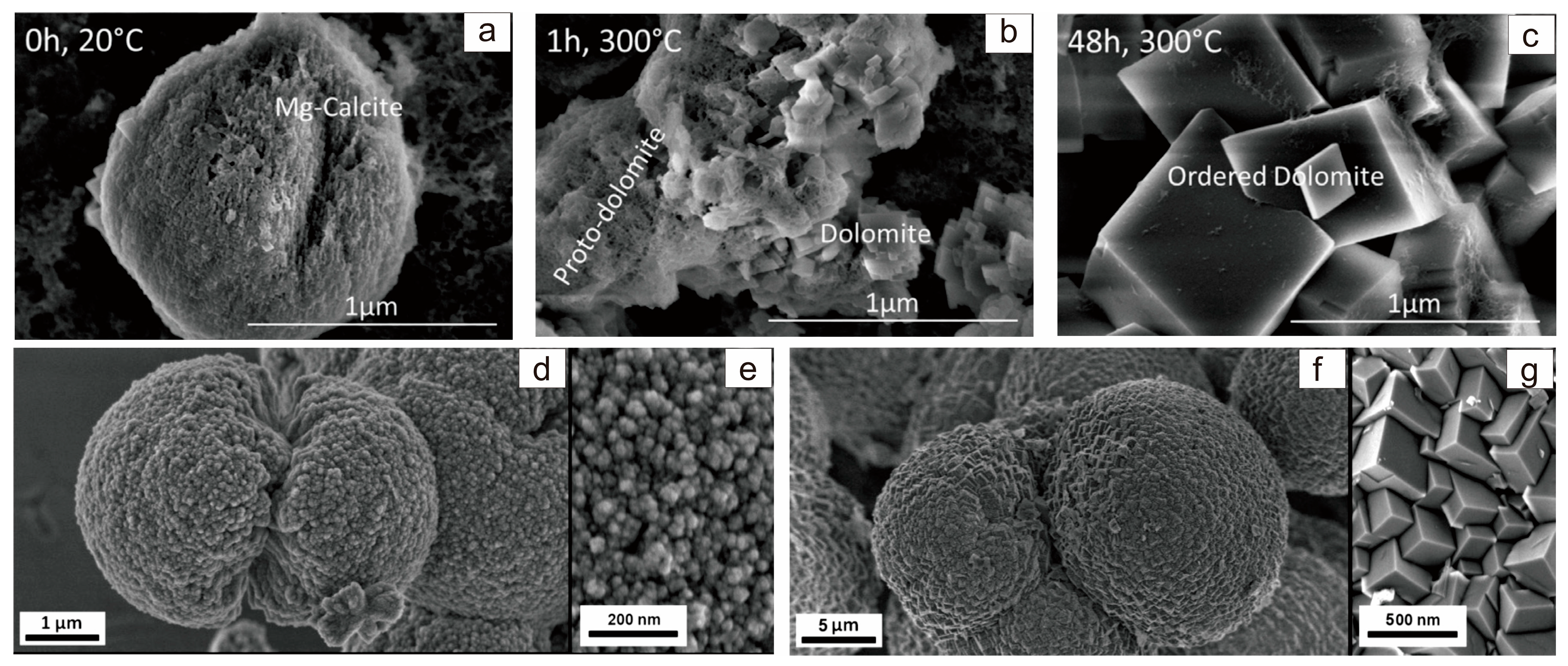 Minerals 13 01479 g008 Minerals 13 01479 g008
