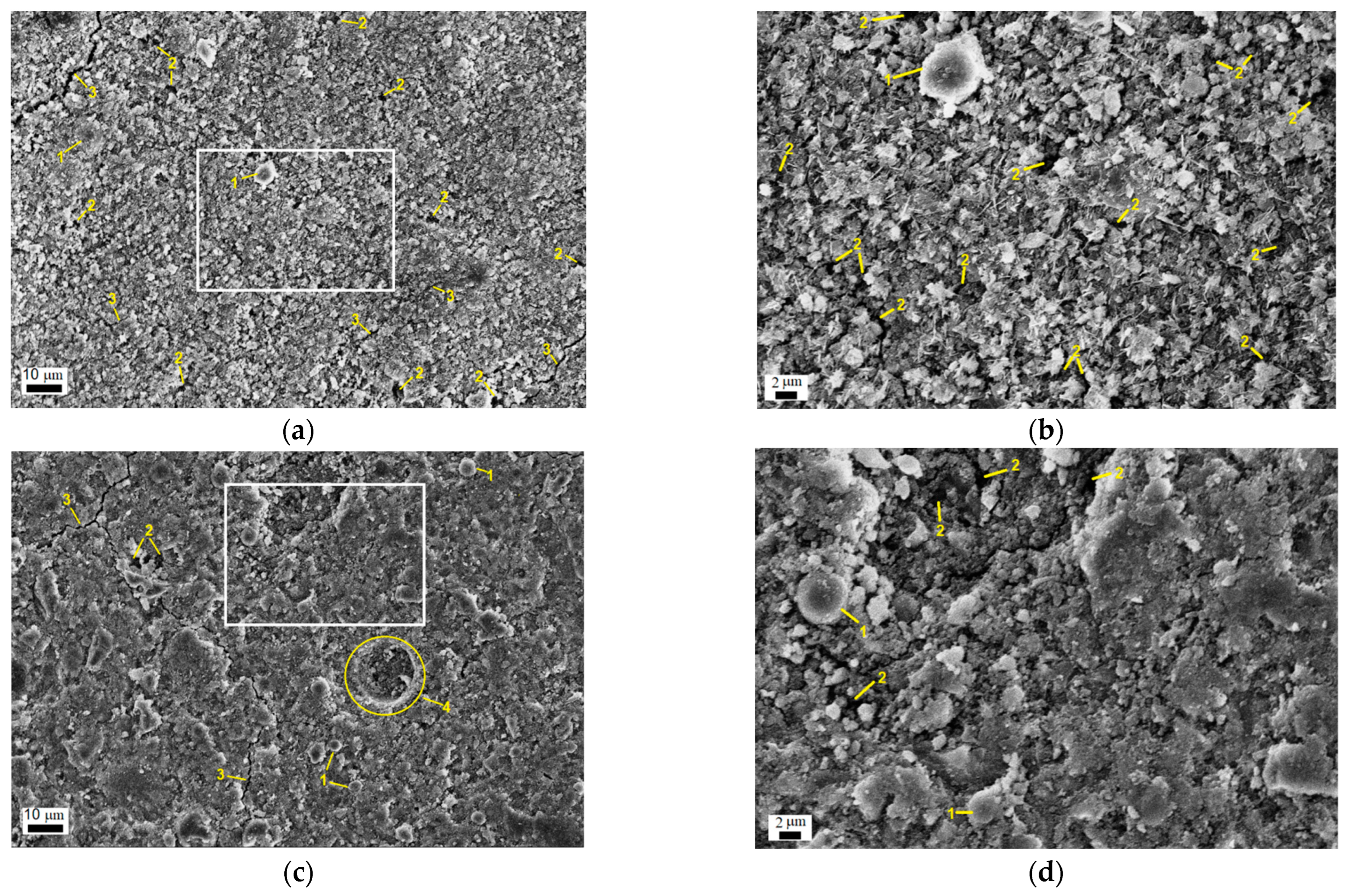 Minerals 13 01493 g010