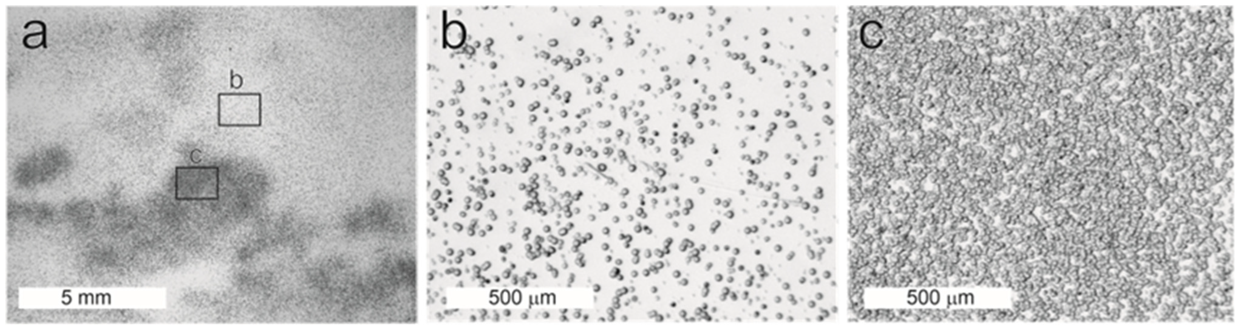 Minerals 13 01495 g009 Minerals 13 01495 g009