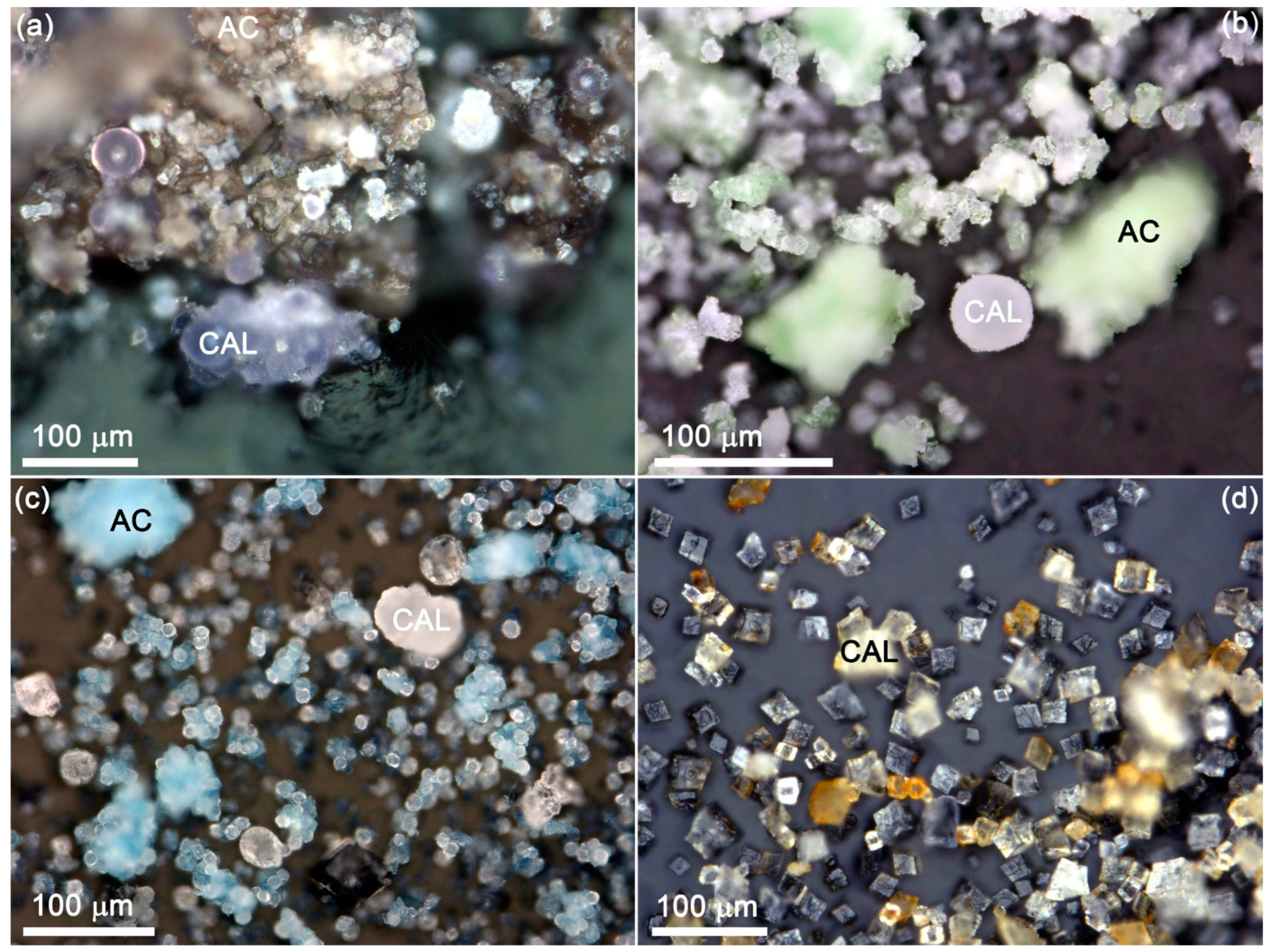 Minerals 13 01497 g001