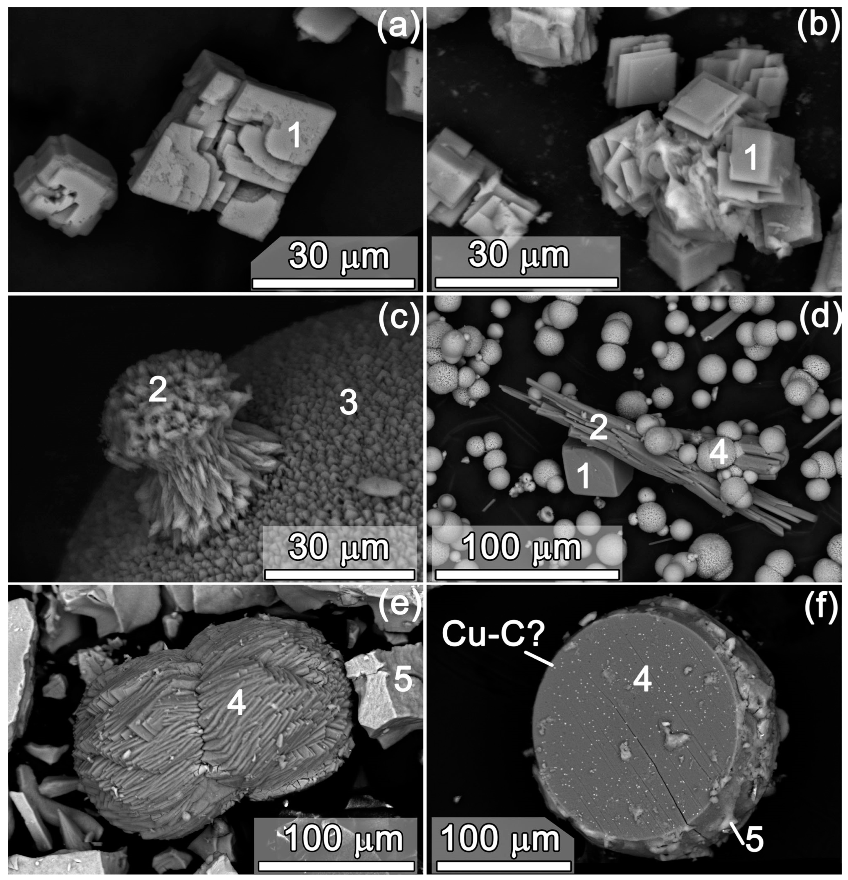 Minerals 13 01497 g003