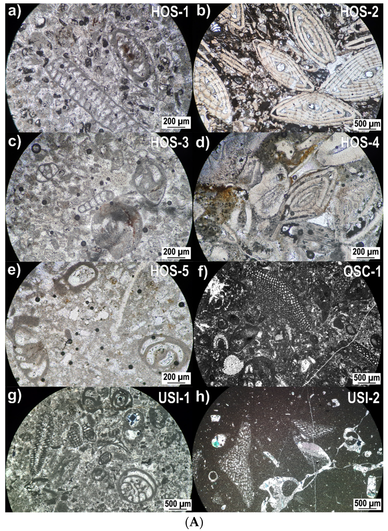 Minerals 13 01500 g002a