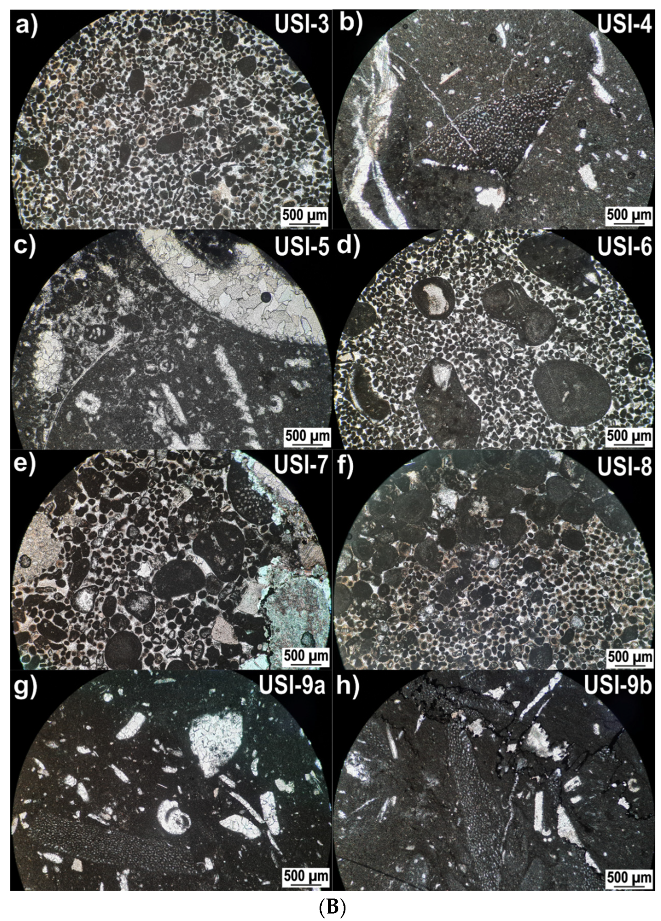 Minerals 13 01500 g002b