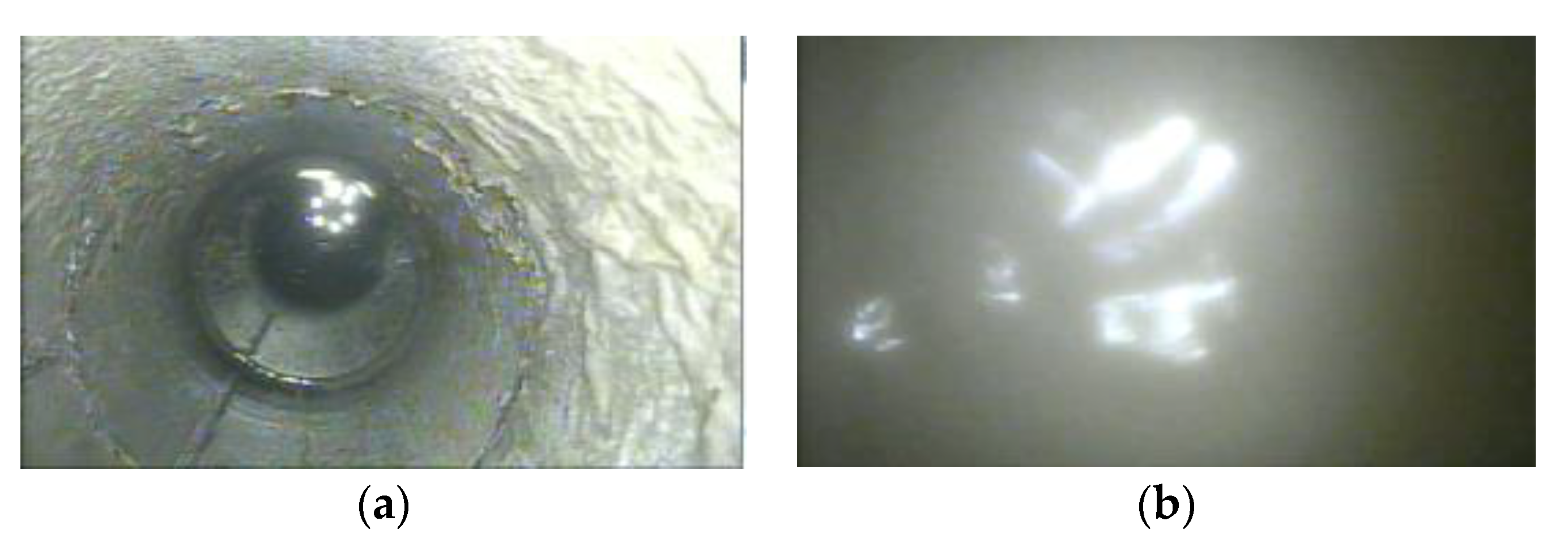 Minerals 13 01507 g026