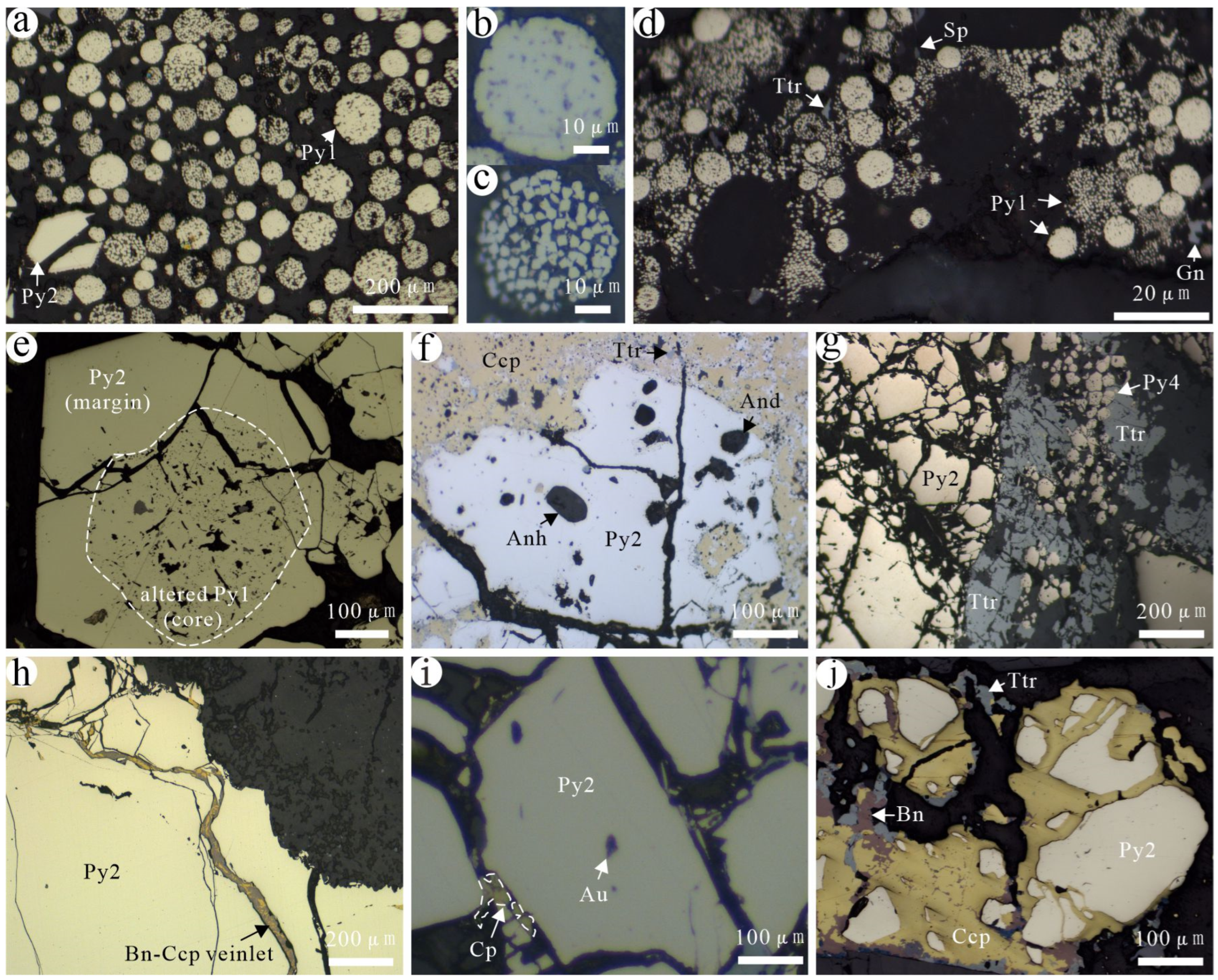 Minerals 13 01516 g004