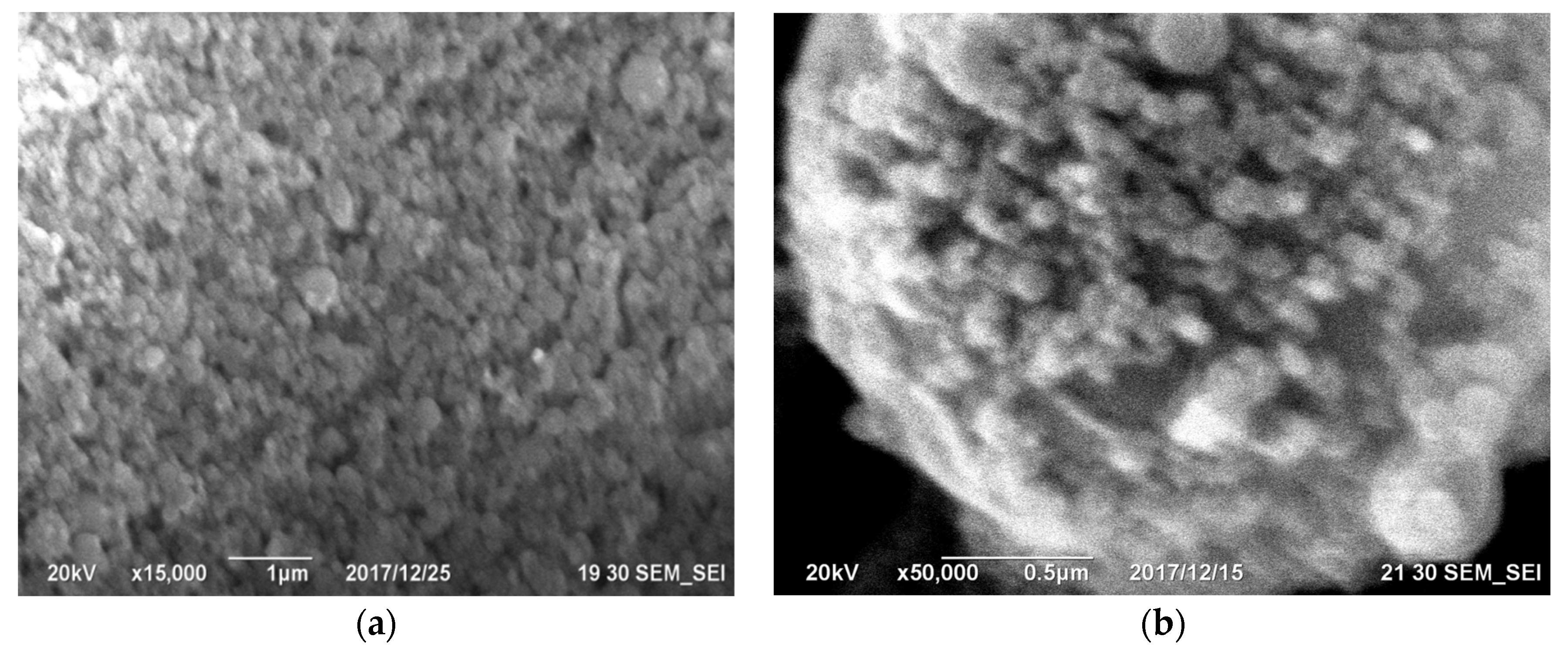 Minerals 13 01525 g001