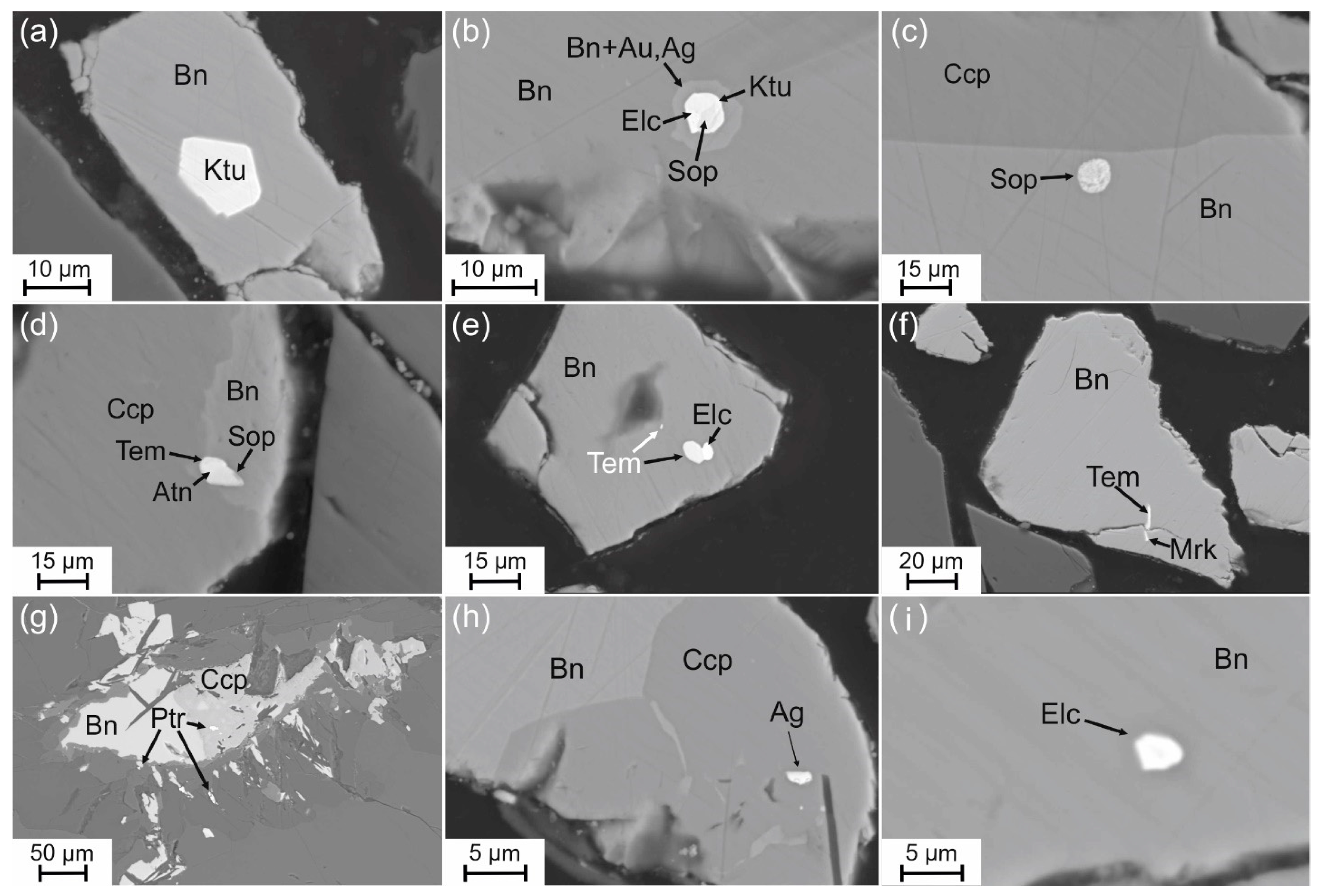 Minerals 13 01528 g006