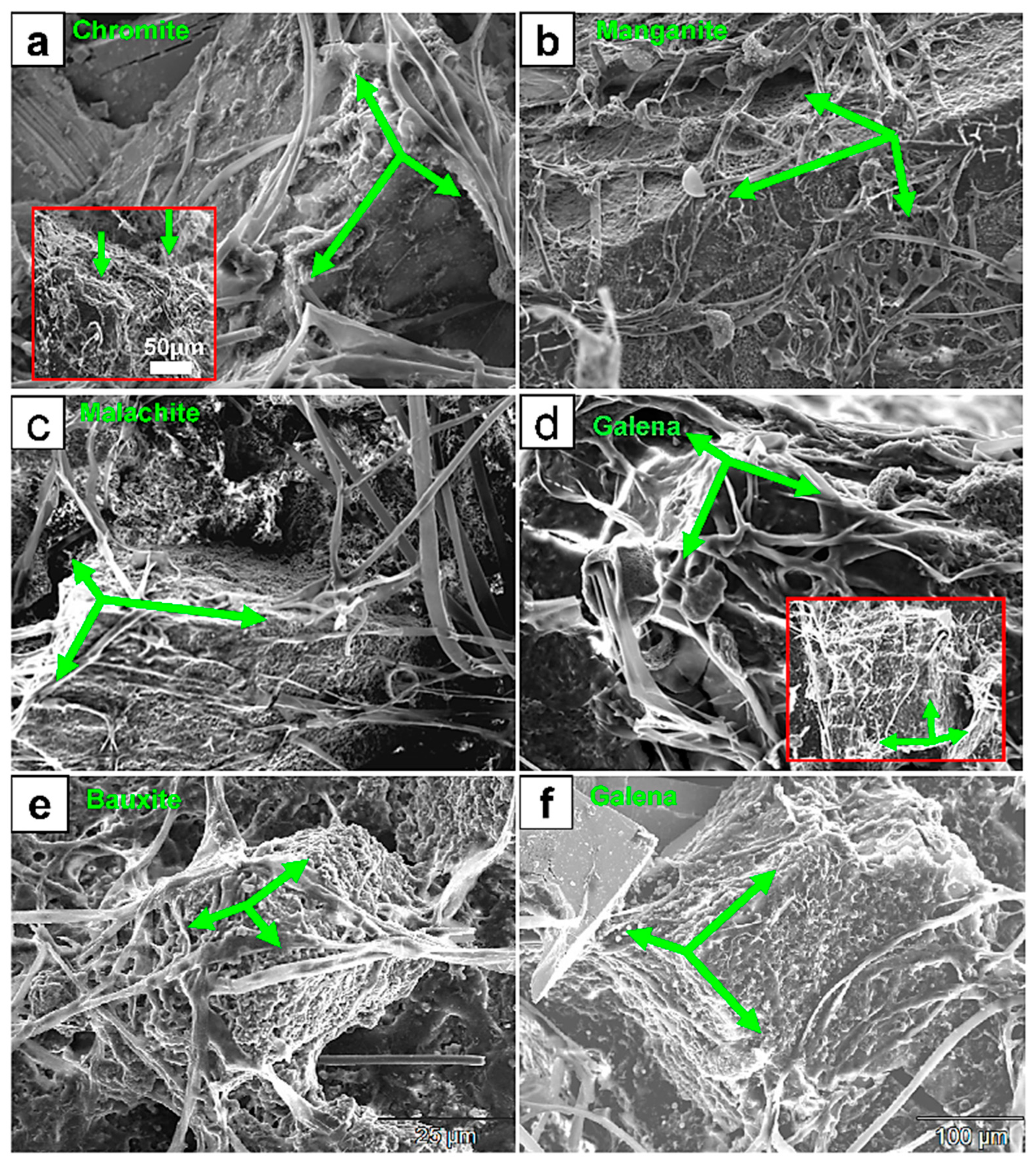 Minerals 13 01540 g001