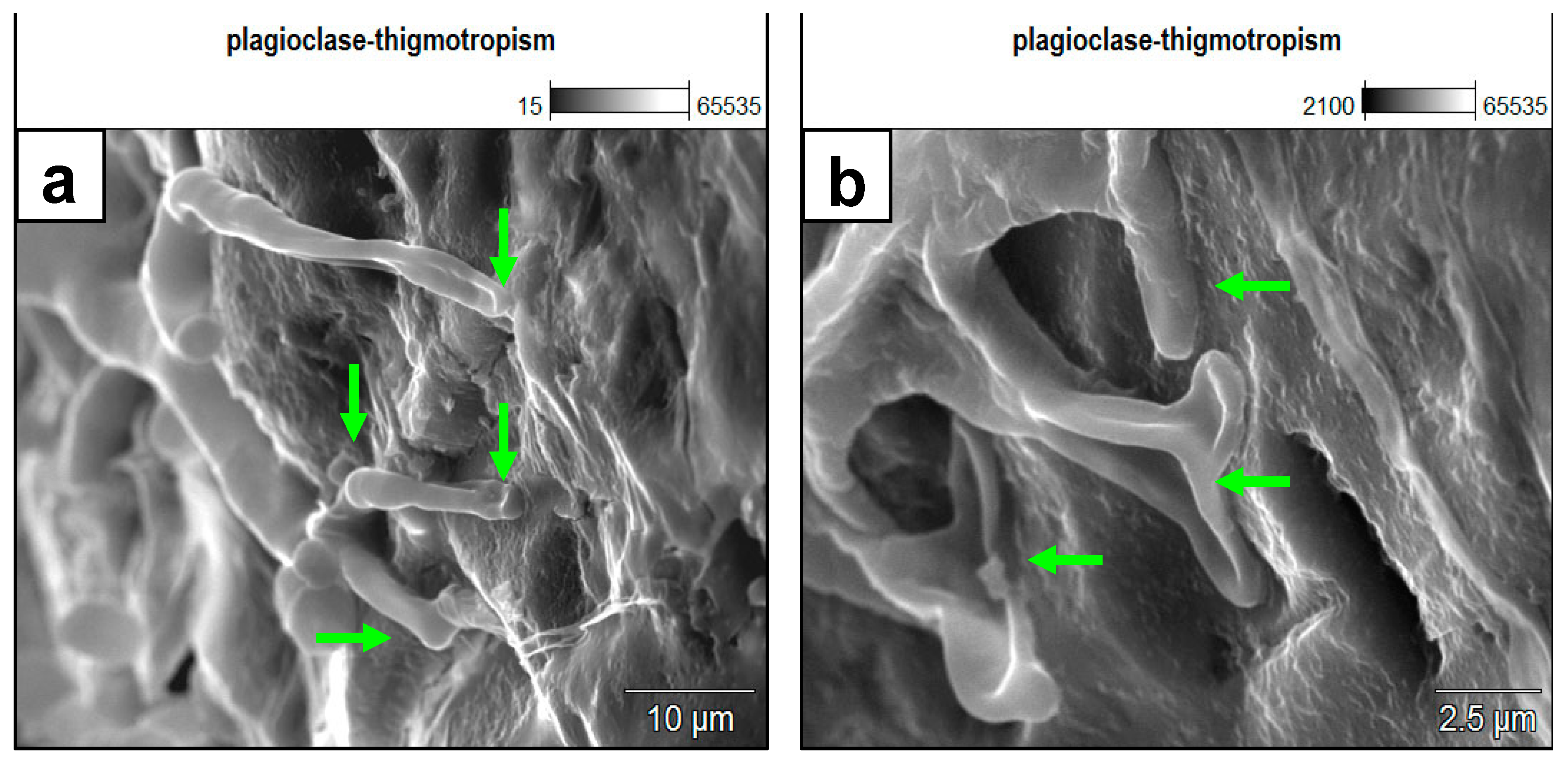 Minerals 13 01540 g004