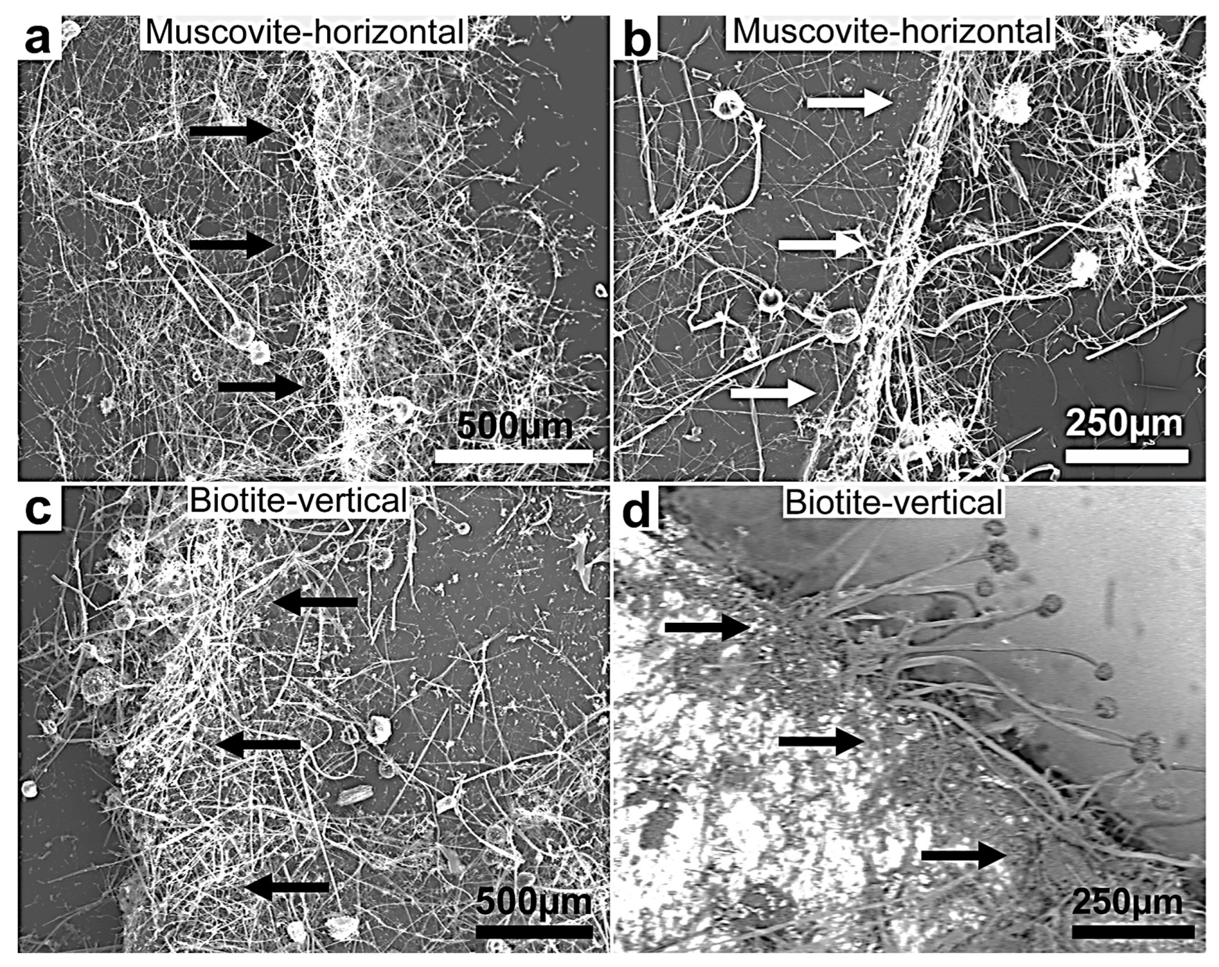 Minerals 13 01540 g005