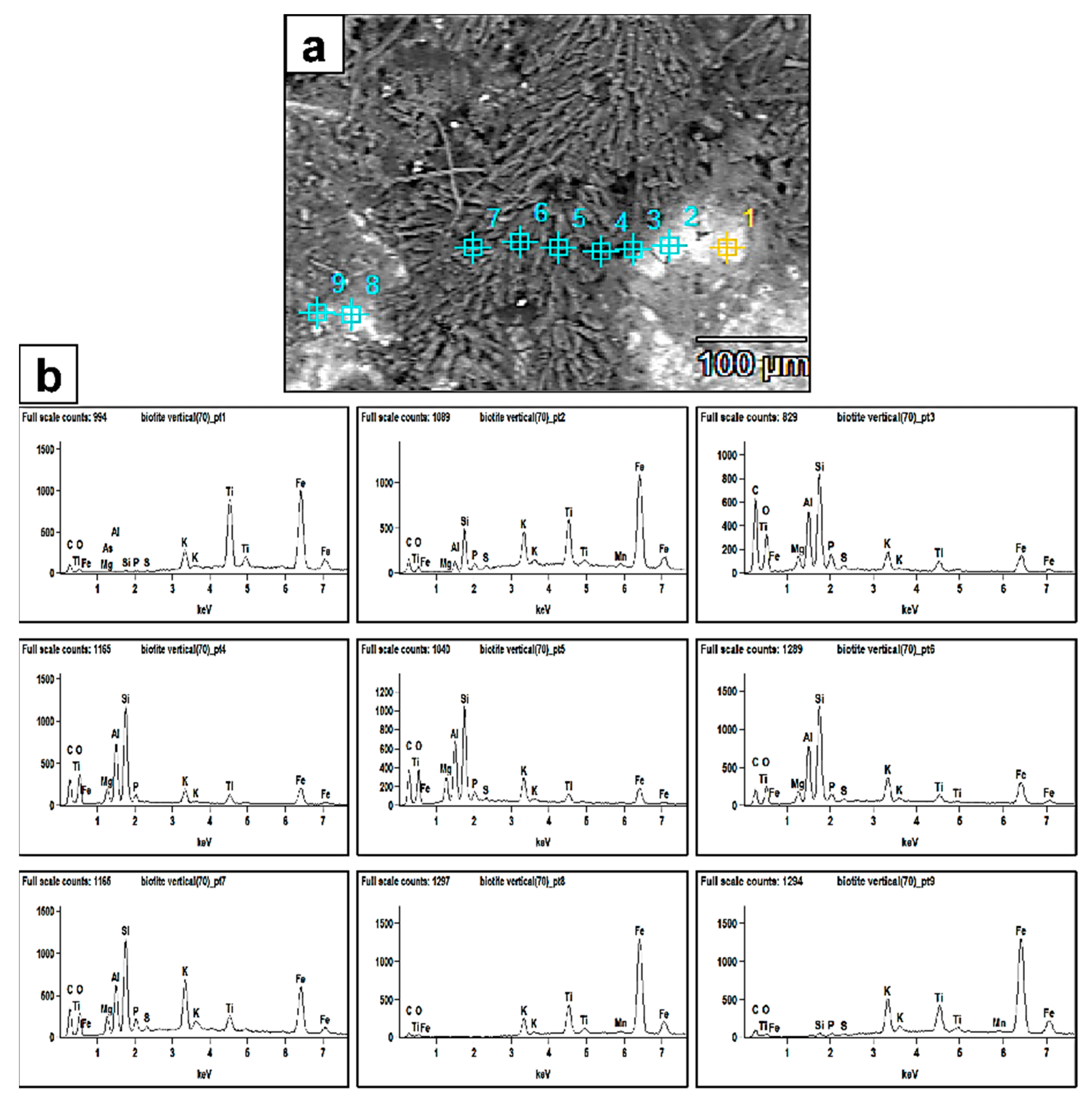 Minerals 13 01540 g006
