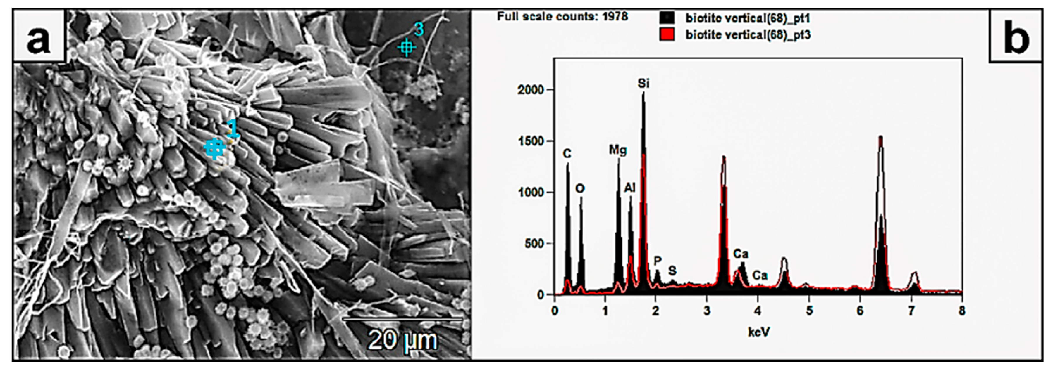 Minerals 13 01540 g007