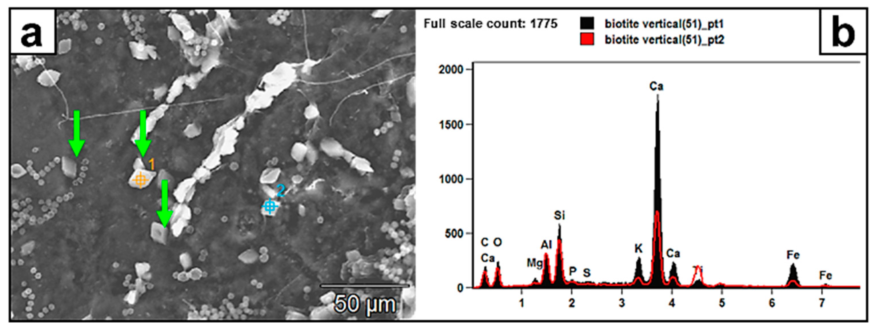 Minerals 13 01540 g009