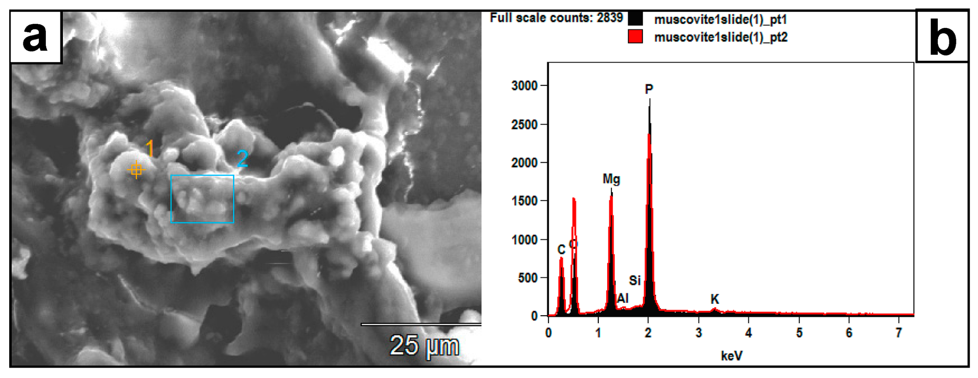 Minerals 13 01540 g010