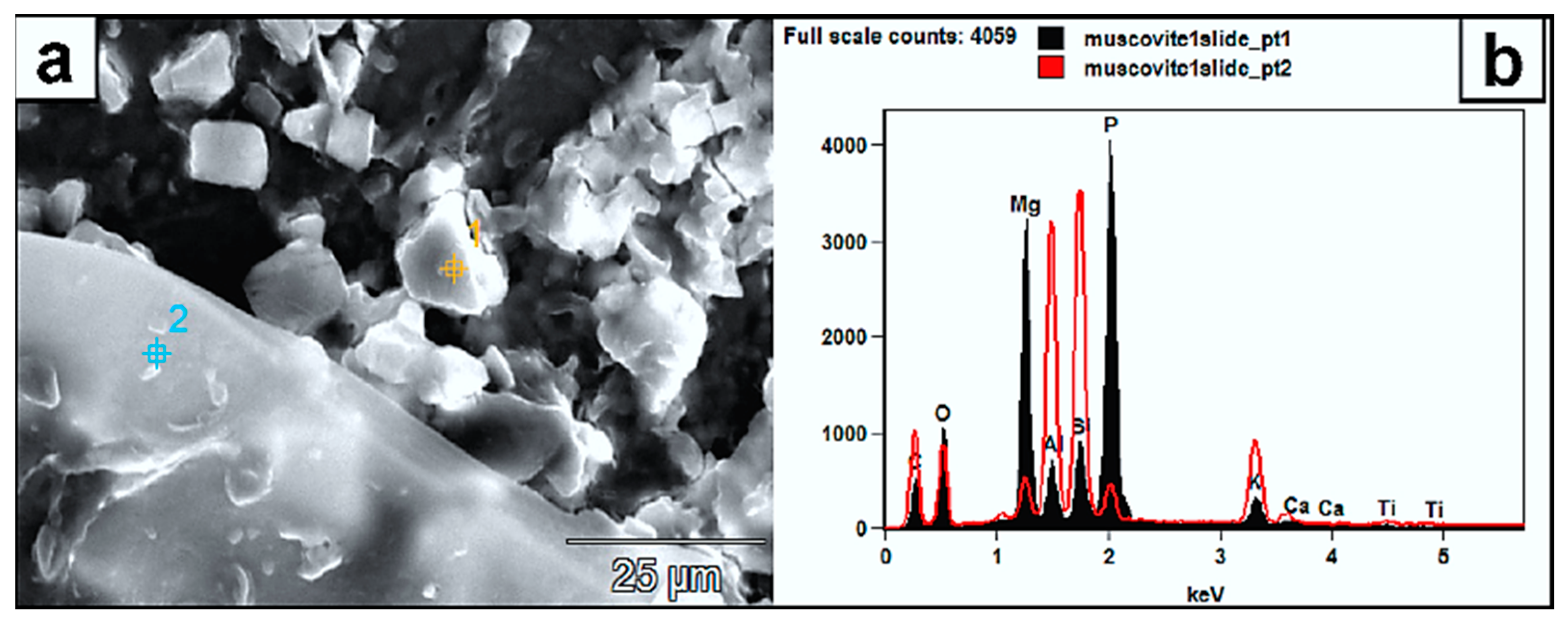 Minerals 13 01540 g011