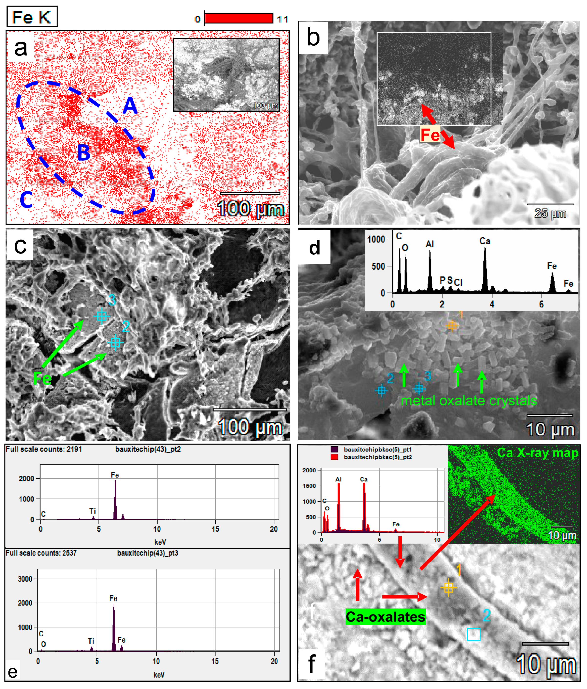 Minerals 13 01540 g012