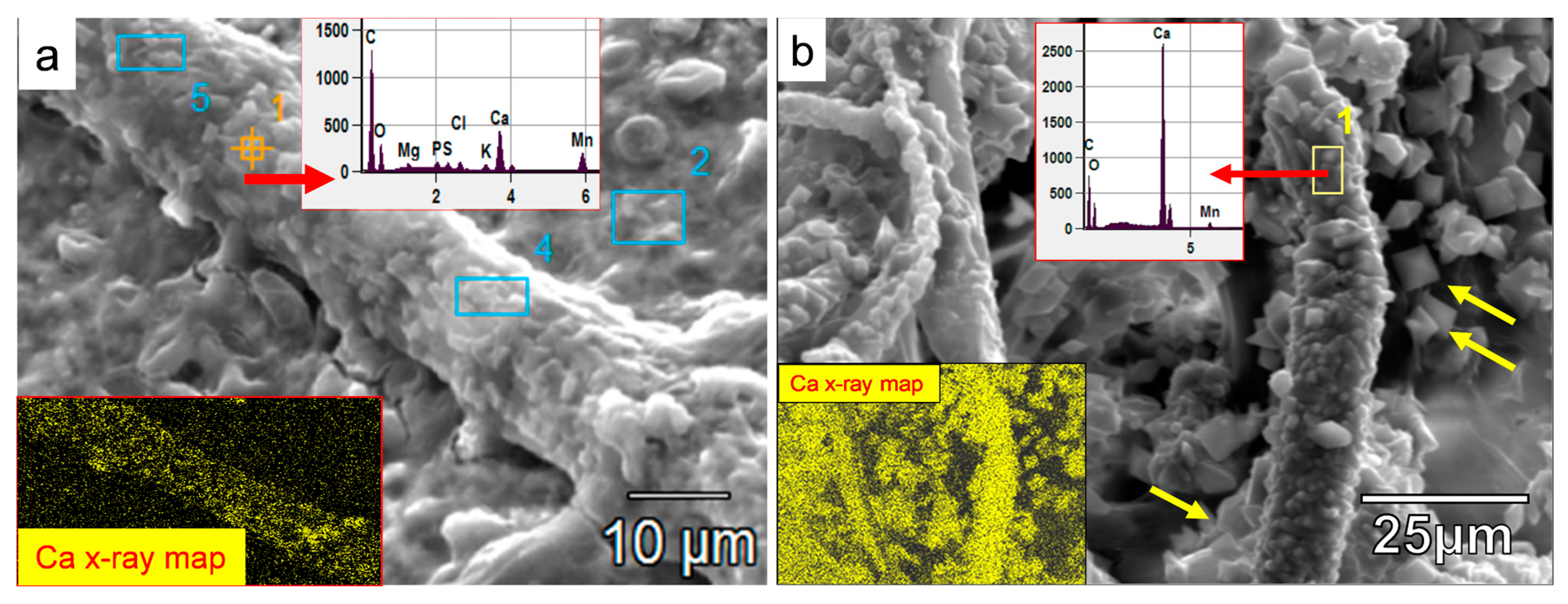 Minerals 13 01540 g013