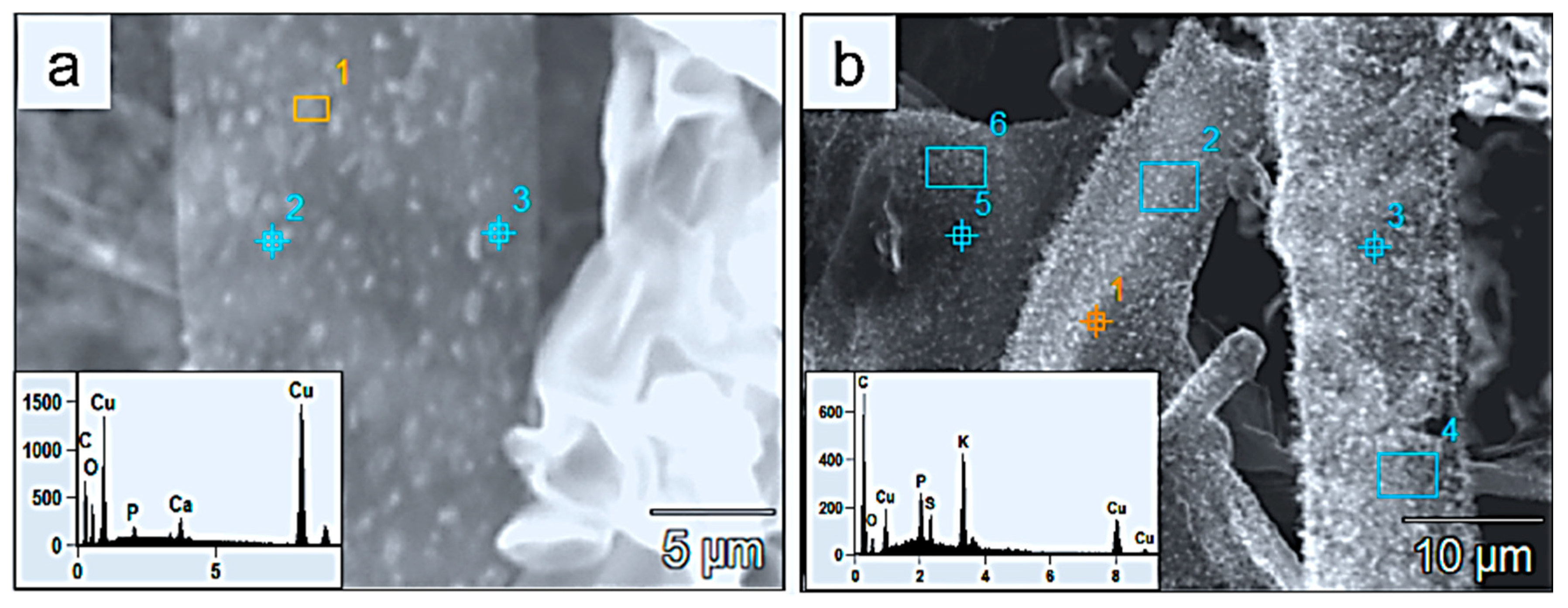 Minerals 13 01540 g014