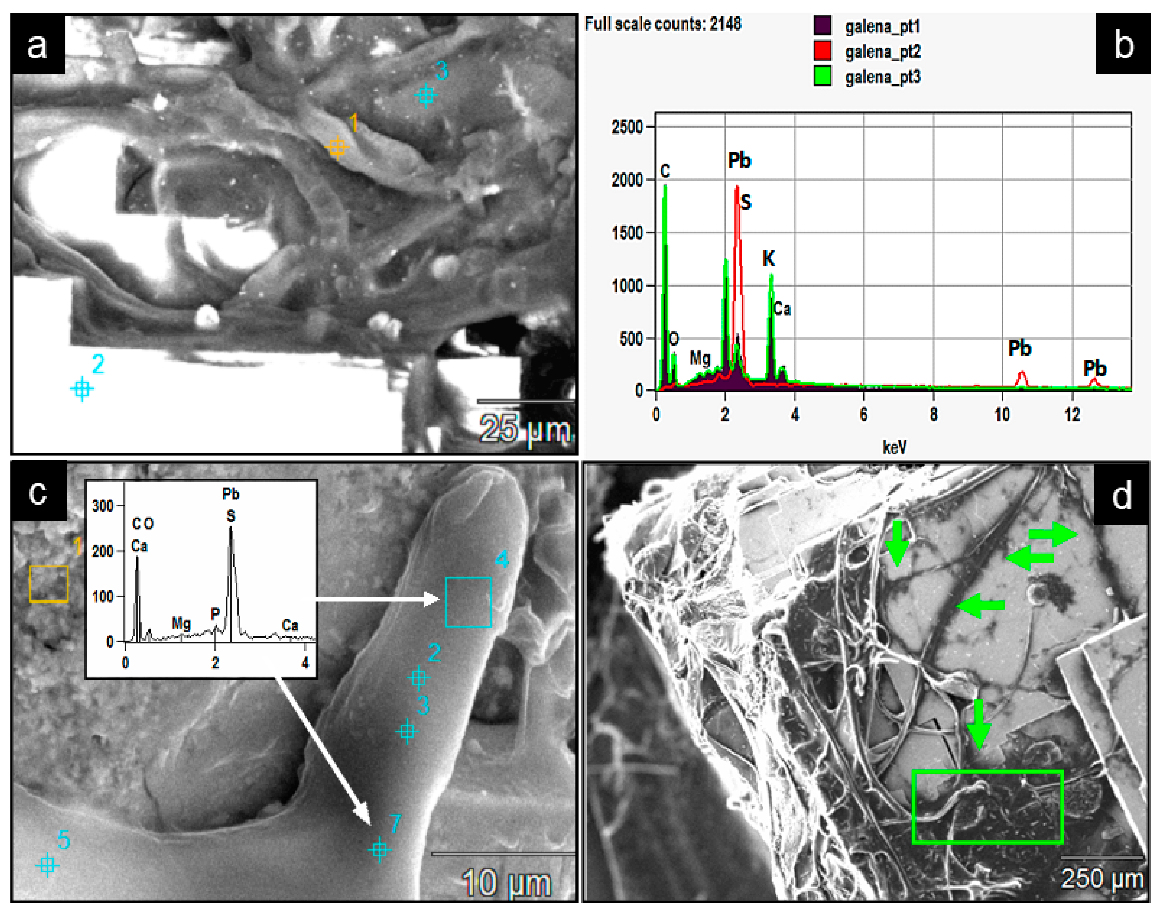 Minerals 13 01540 g016