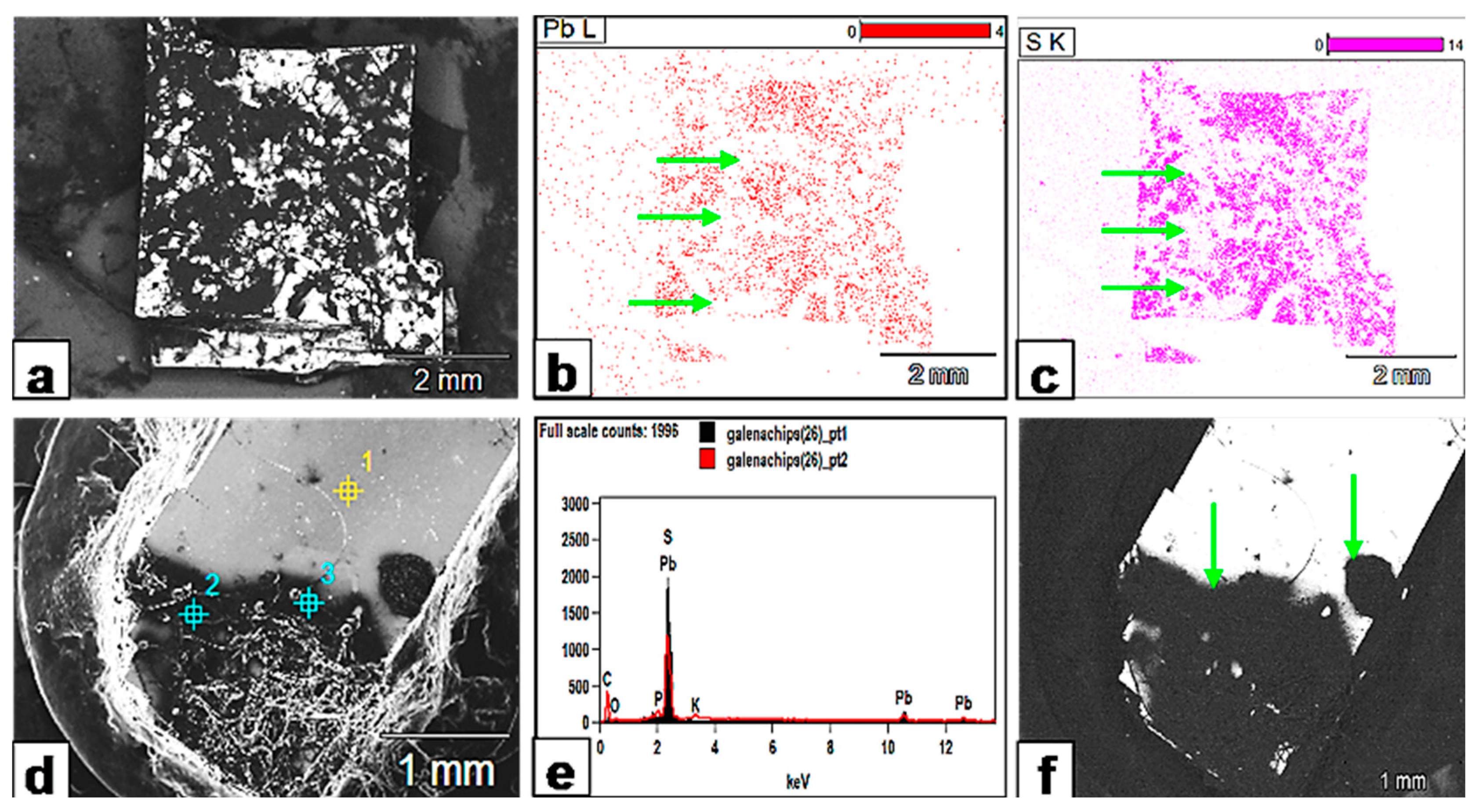Minerals 13 01540 g017