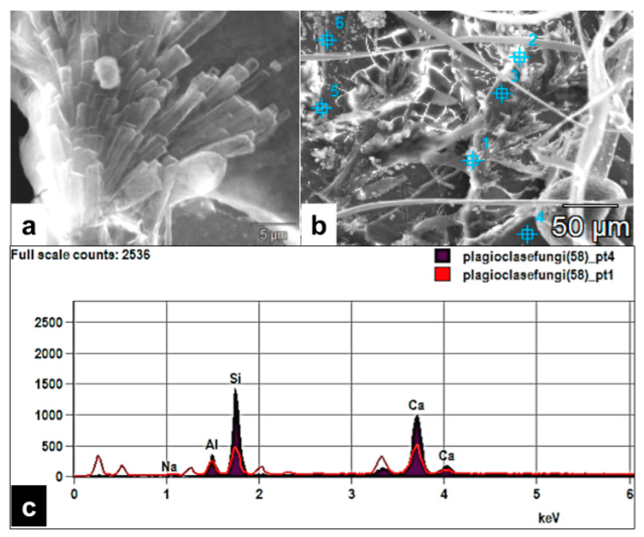 Minerals 13 01540 g018