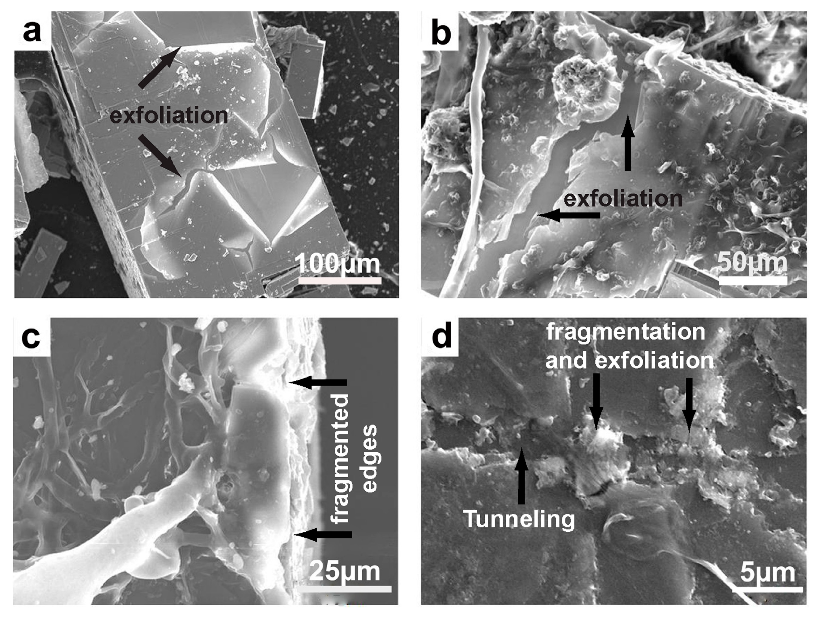 Minerals 13 01540 g019