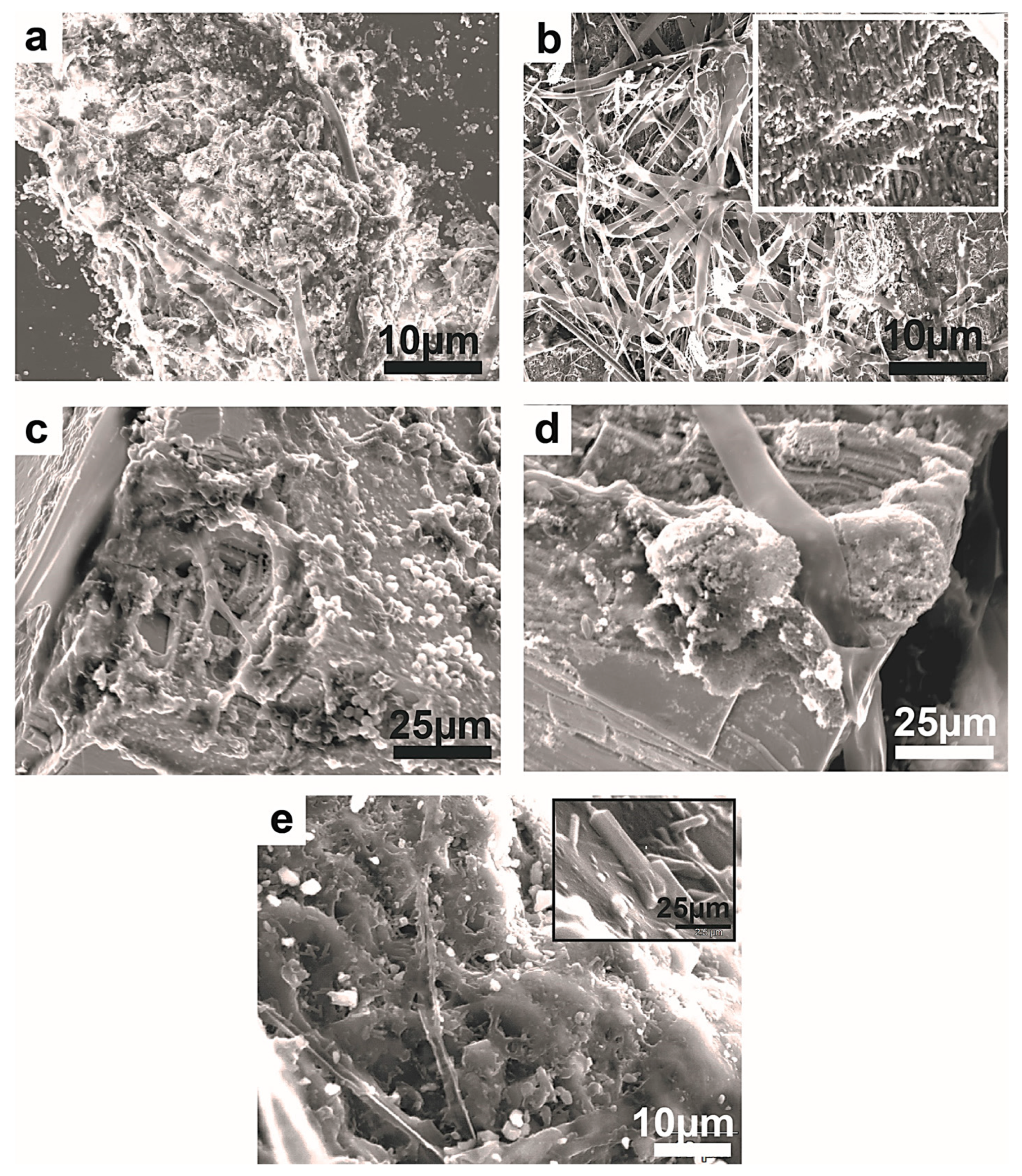 Minerals 13 01540 g020
