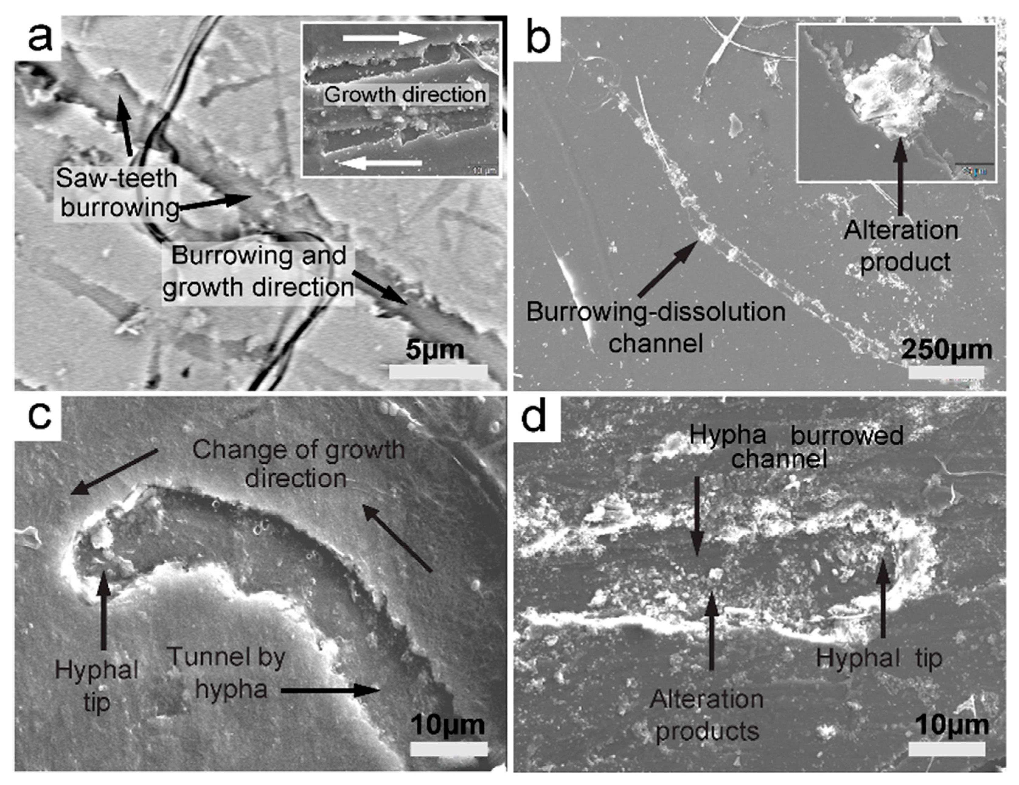 Minerals 13 01540 g021