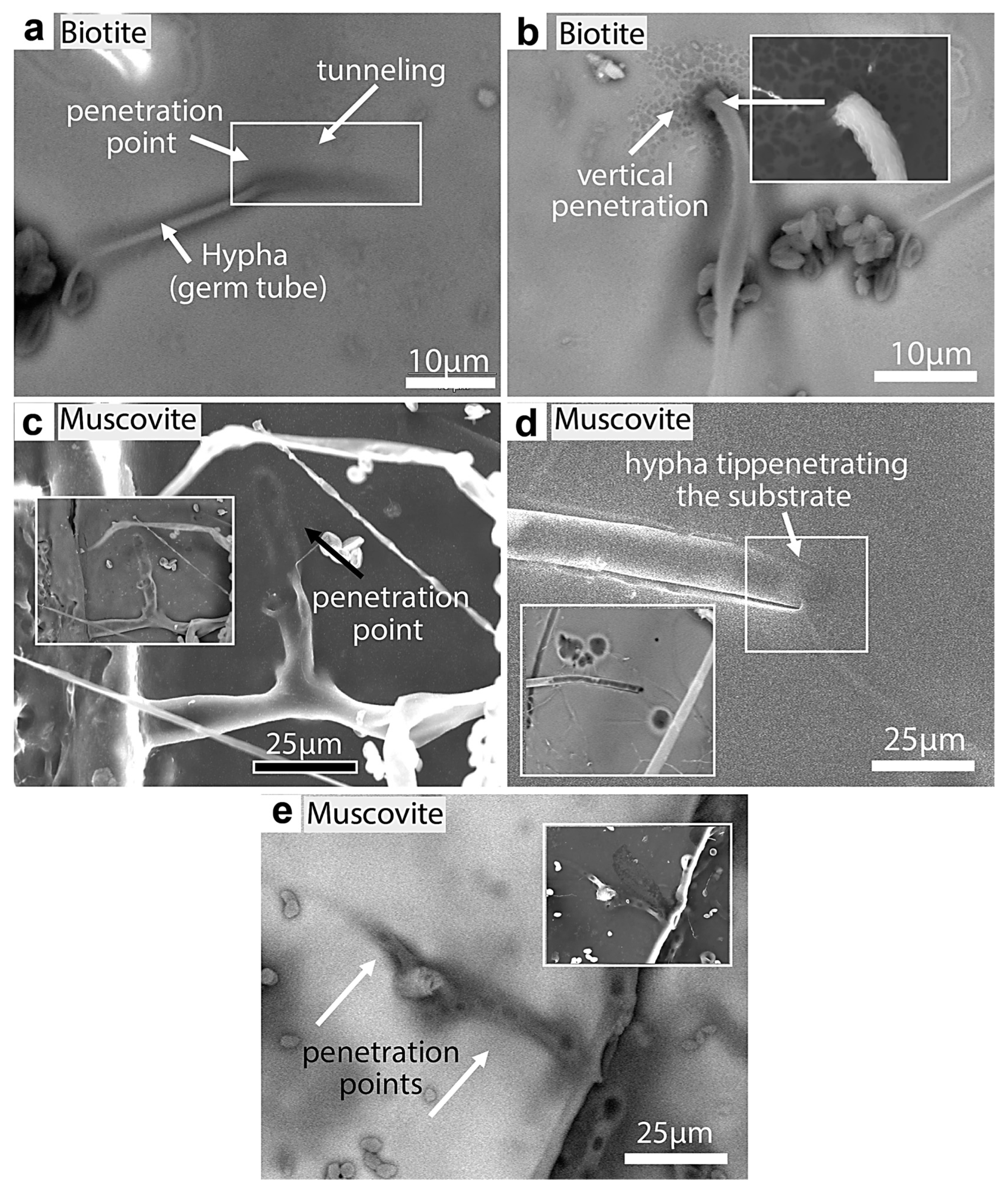 Minerals 13 01540 g022