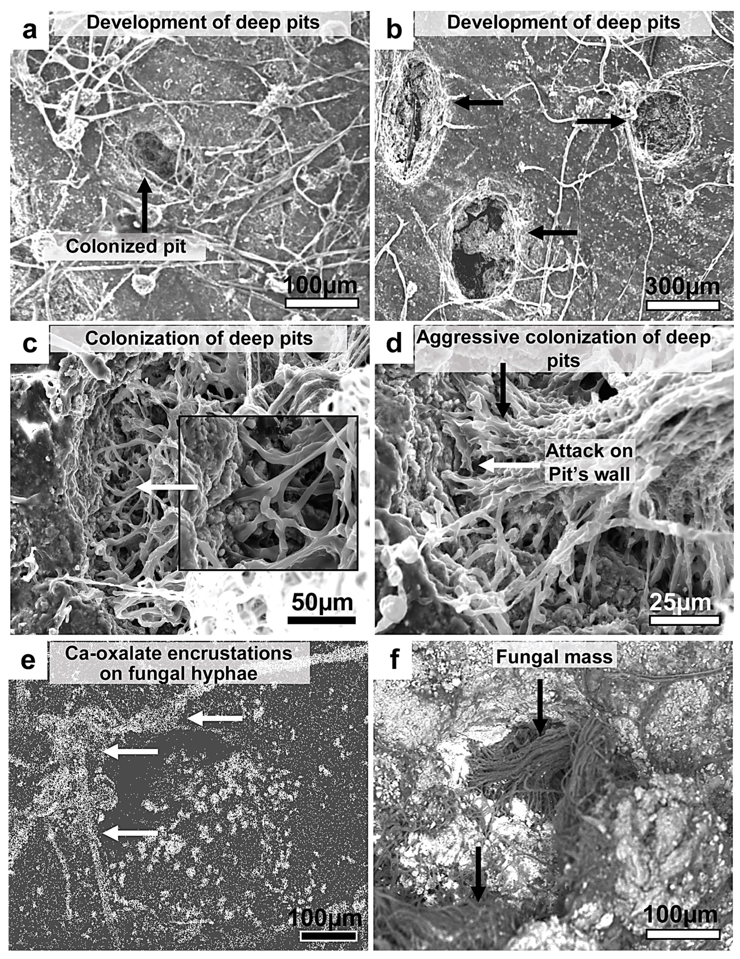 Minerals 13 01540 g025