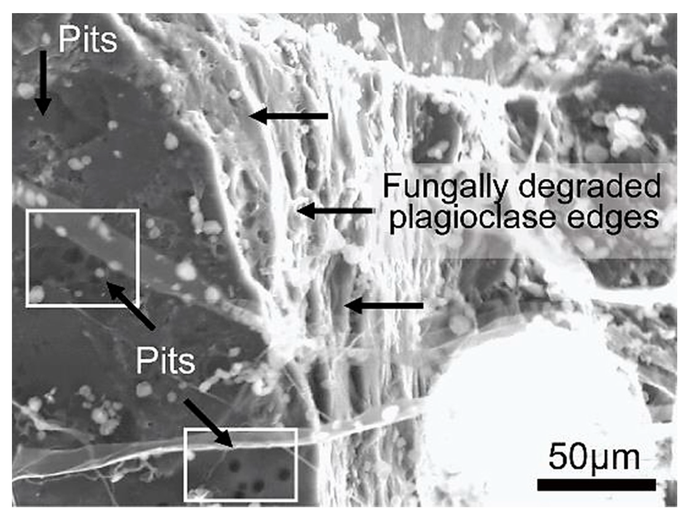 Minerals 13 01540 g026