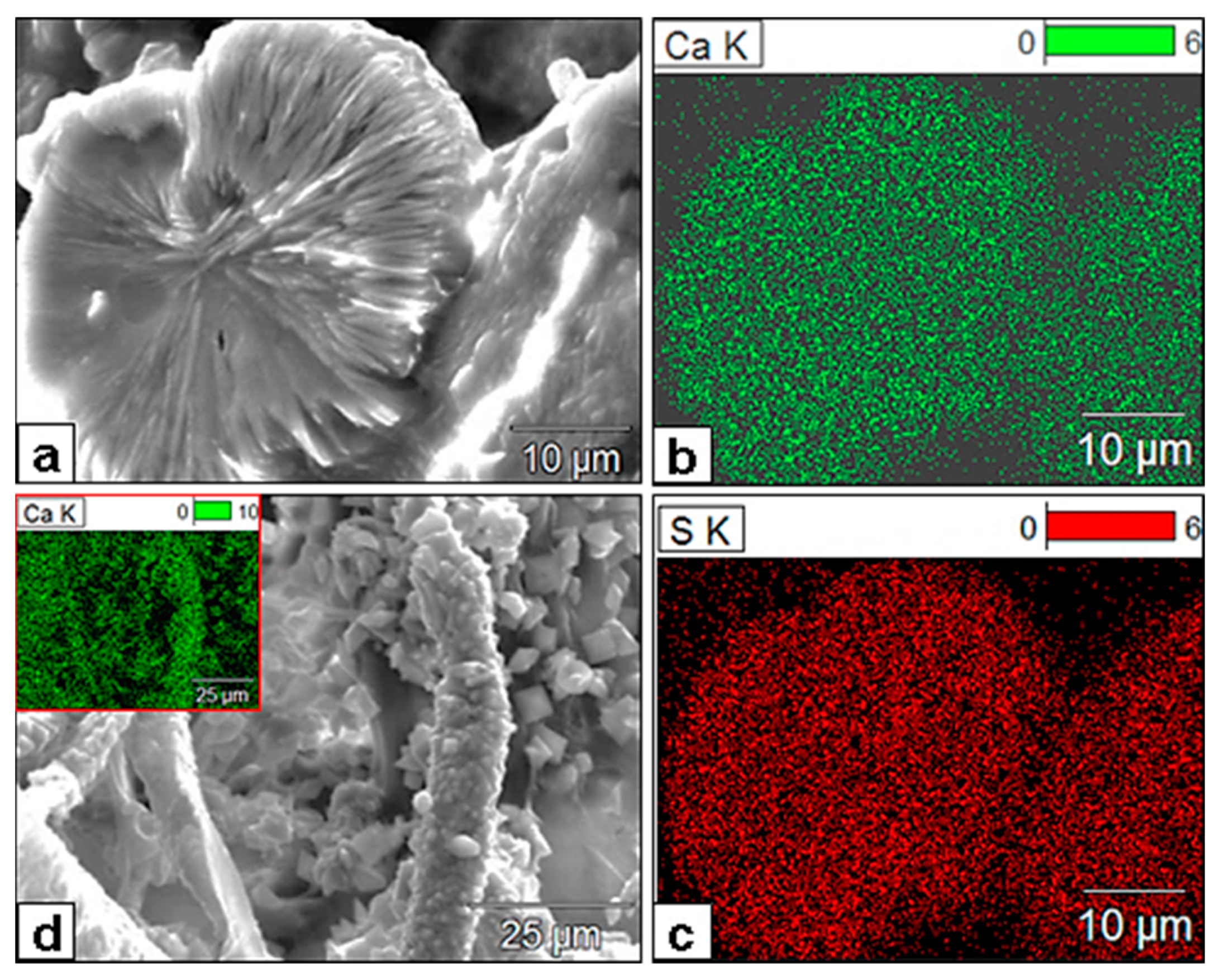 Minerals 13 01540 g027
