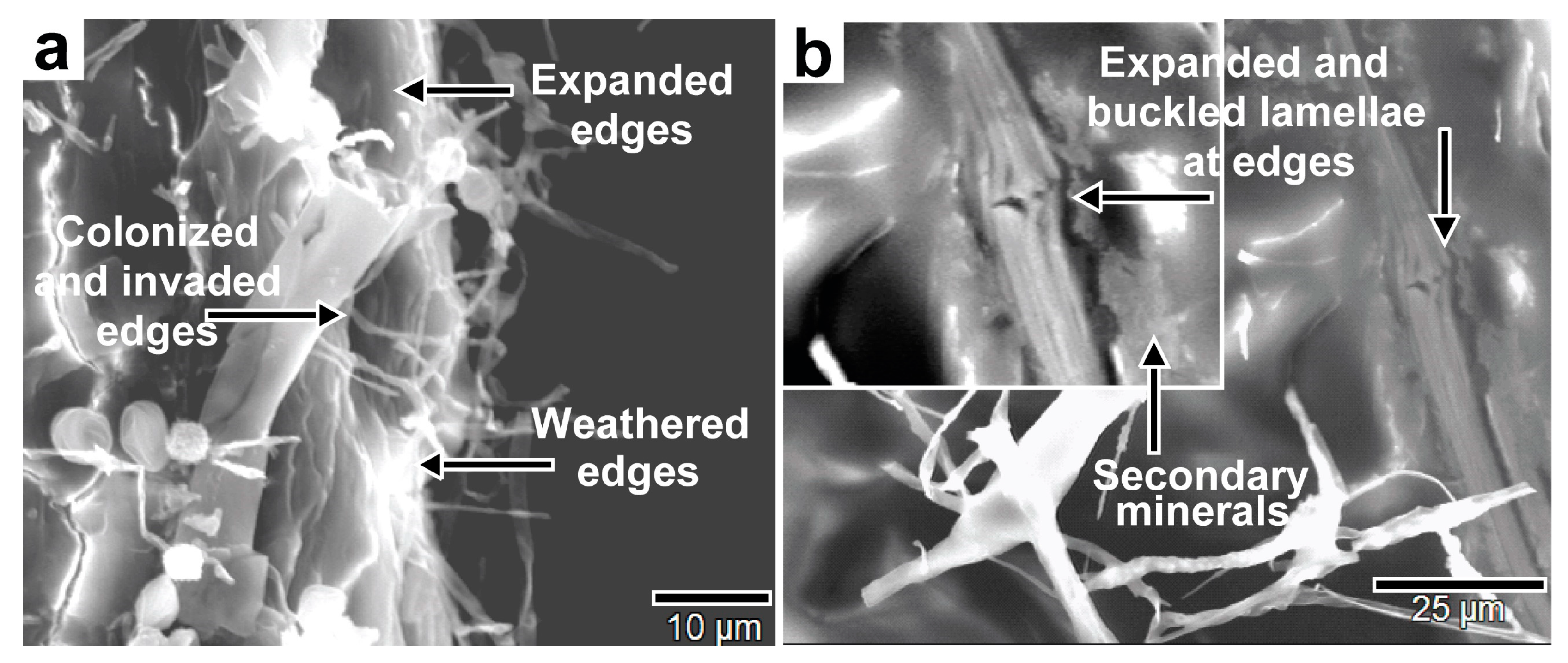Minerals 13 01540 g028