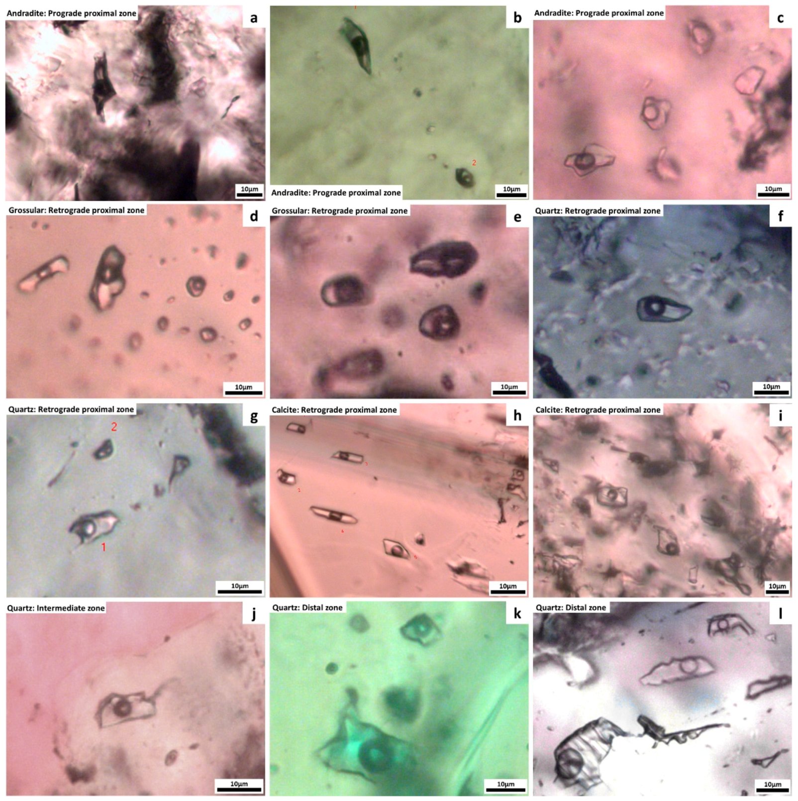 Minerals 13 01542 g008