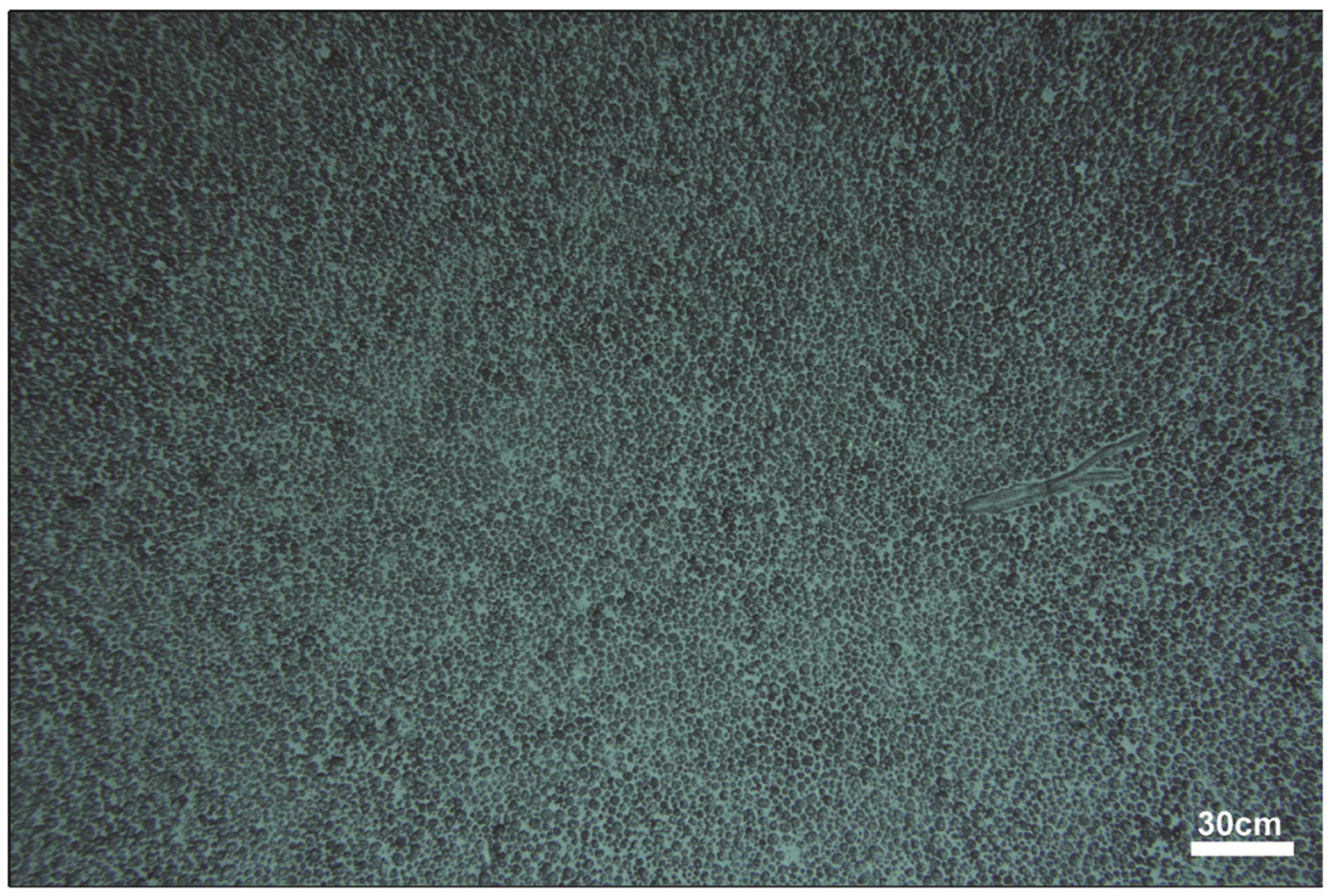 Minerals 13 01555 g002