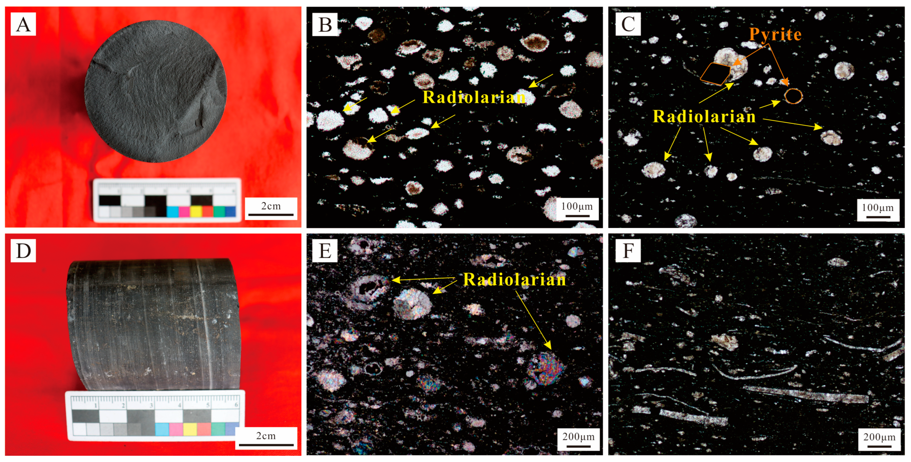 Minerals 14 00010 g004