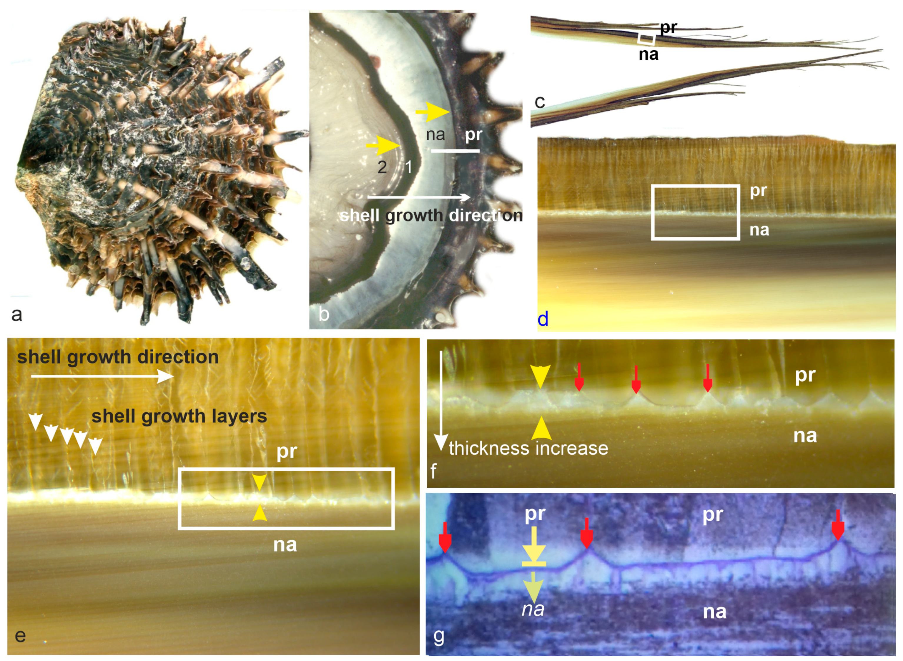 Minerals 14 00020 g001