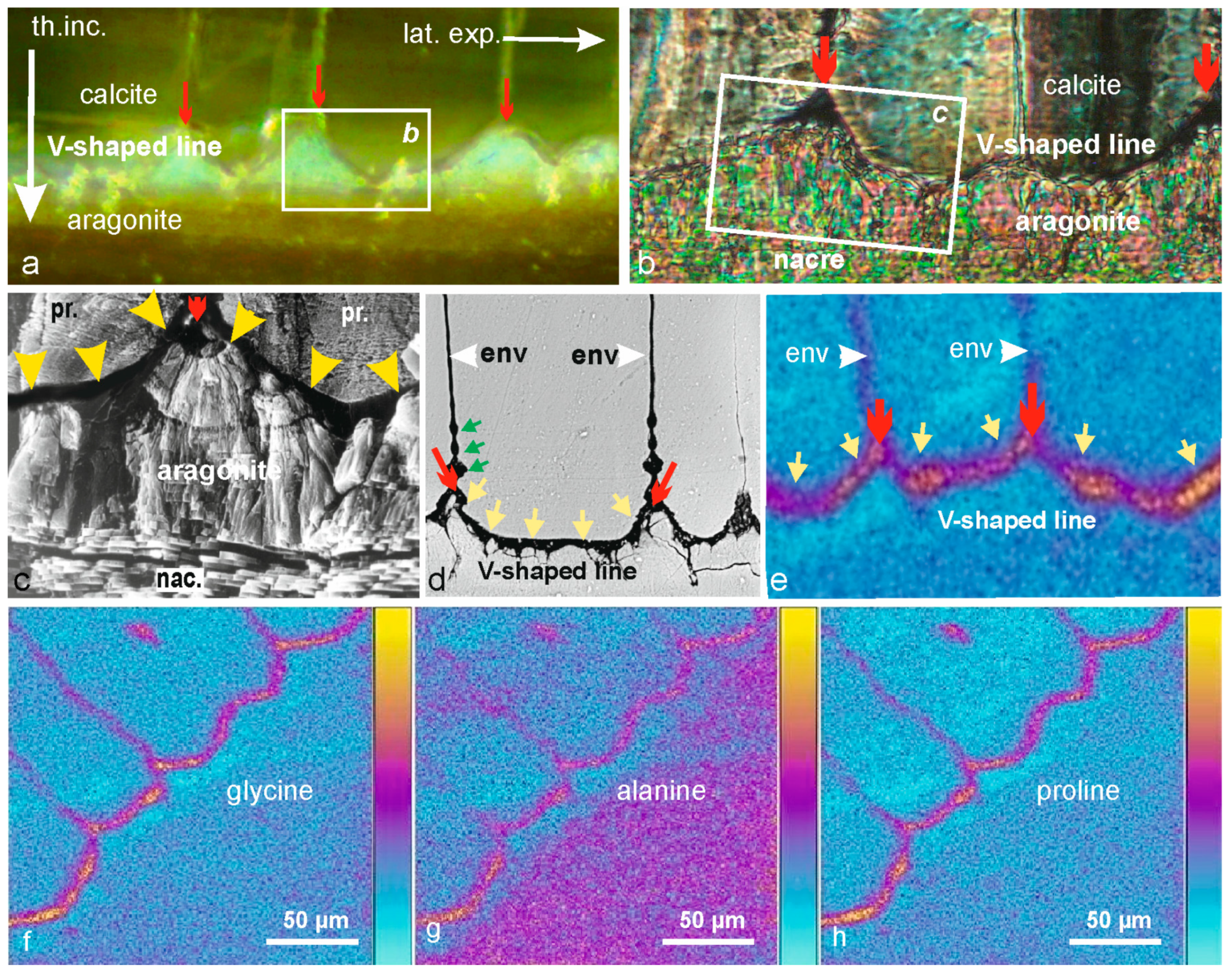 Minerals 14 00020 g003