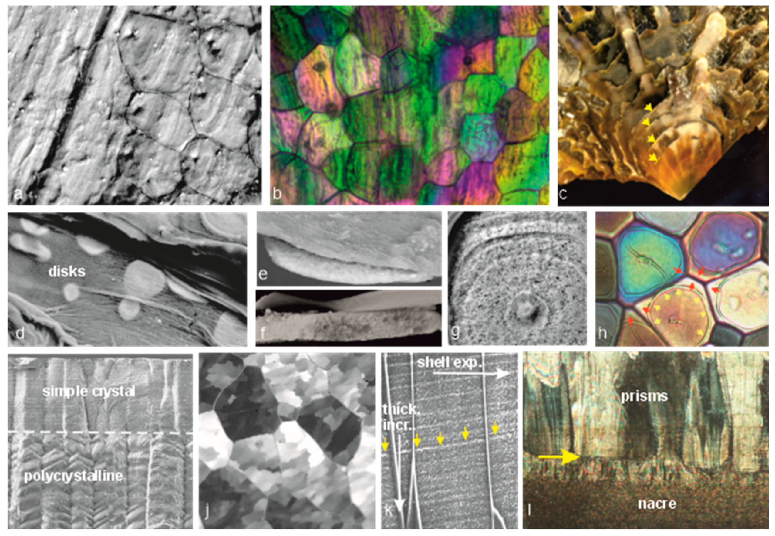 Minerals 14 00020 g005