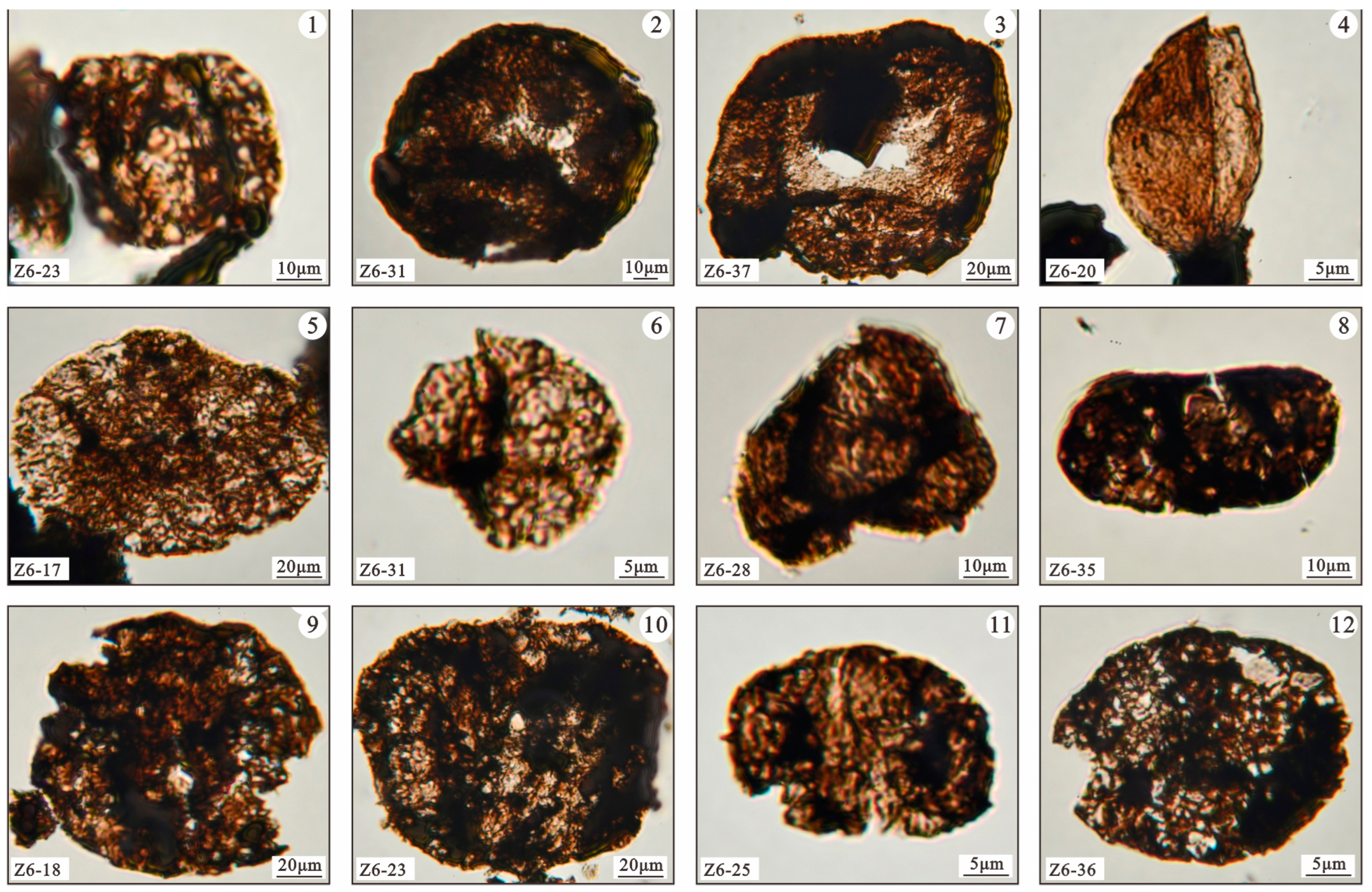 Minerals 14 00032 g003