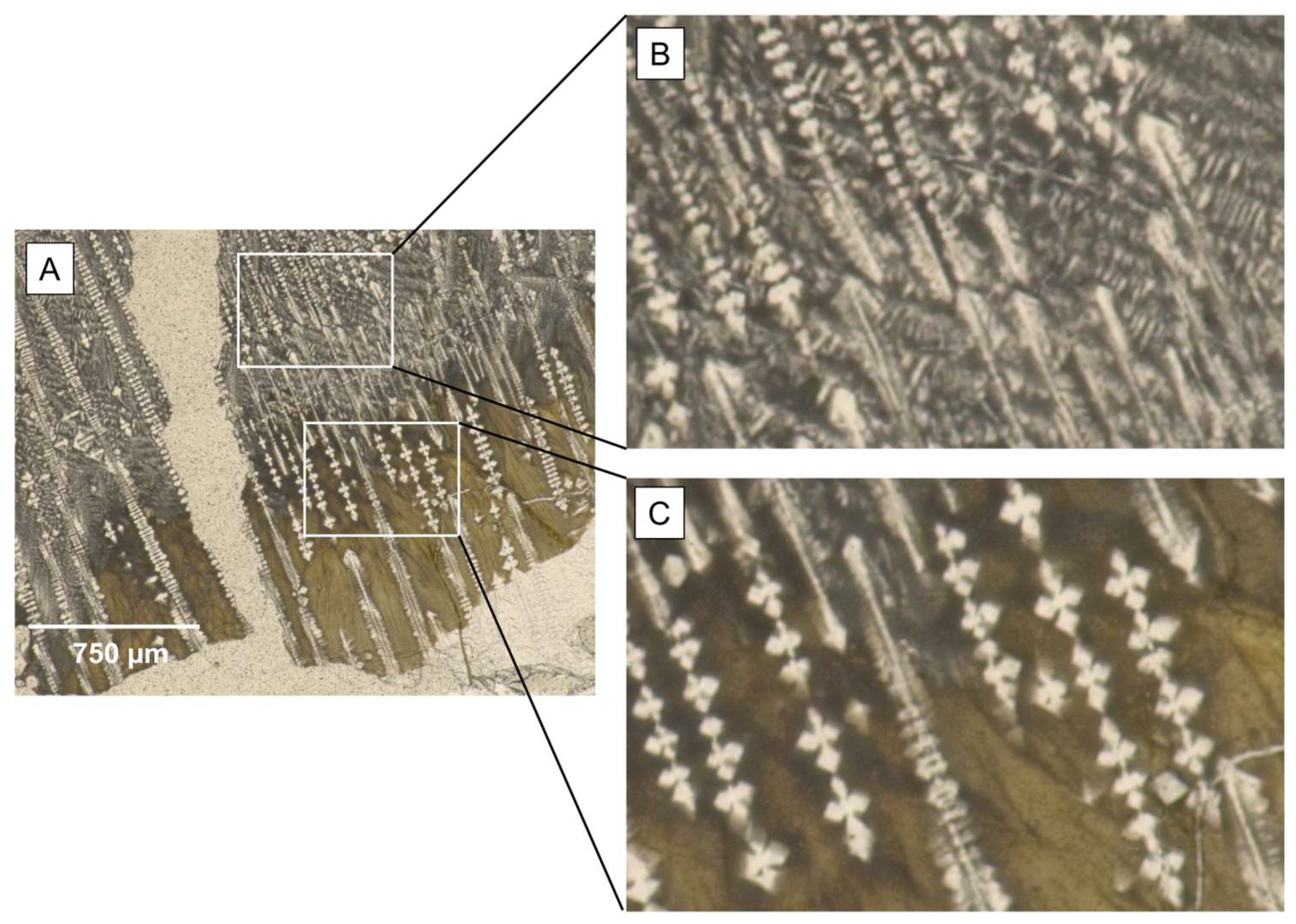 Minerals 14 00042 g005