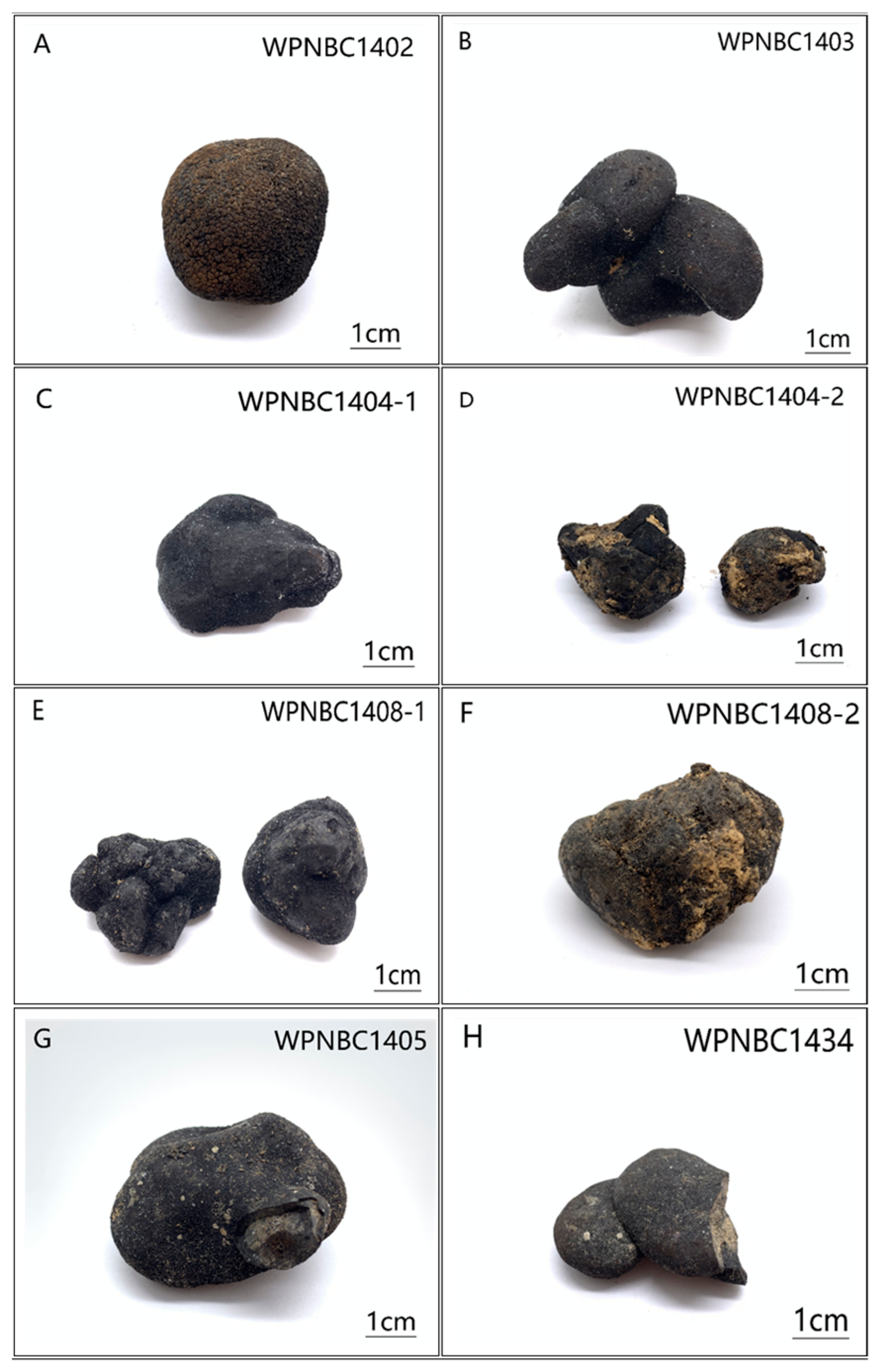 Minerals 14 00047 g002