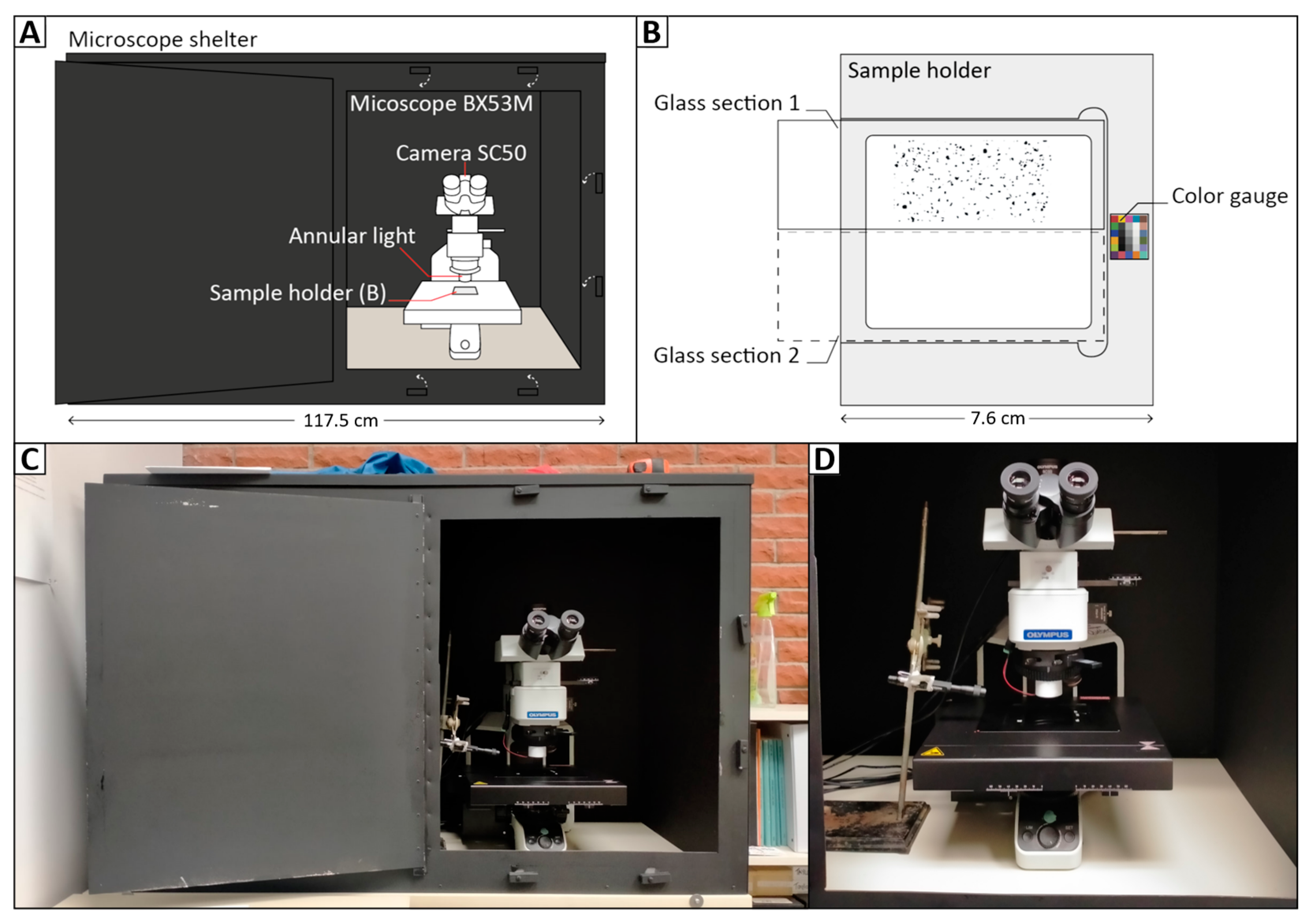 Minerals 14 00051 g006