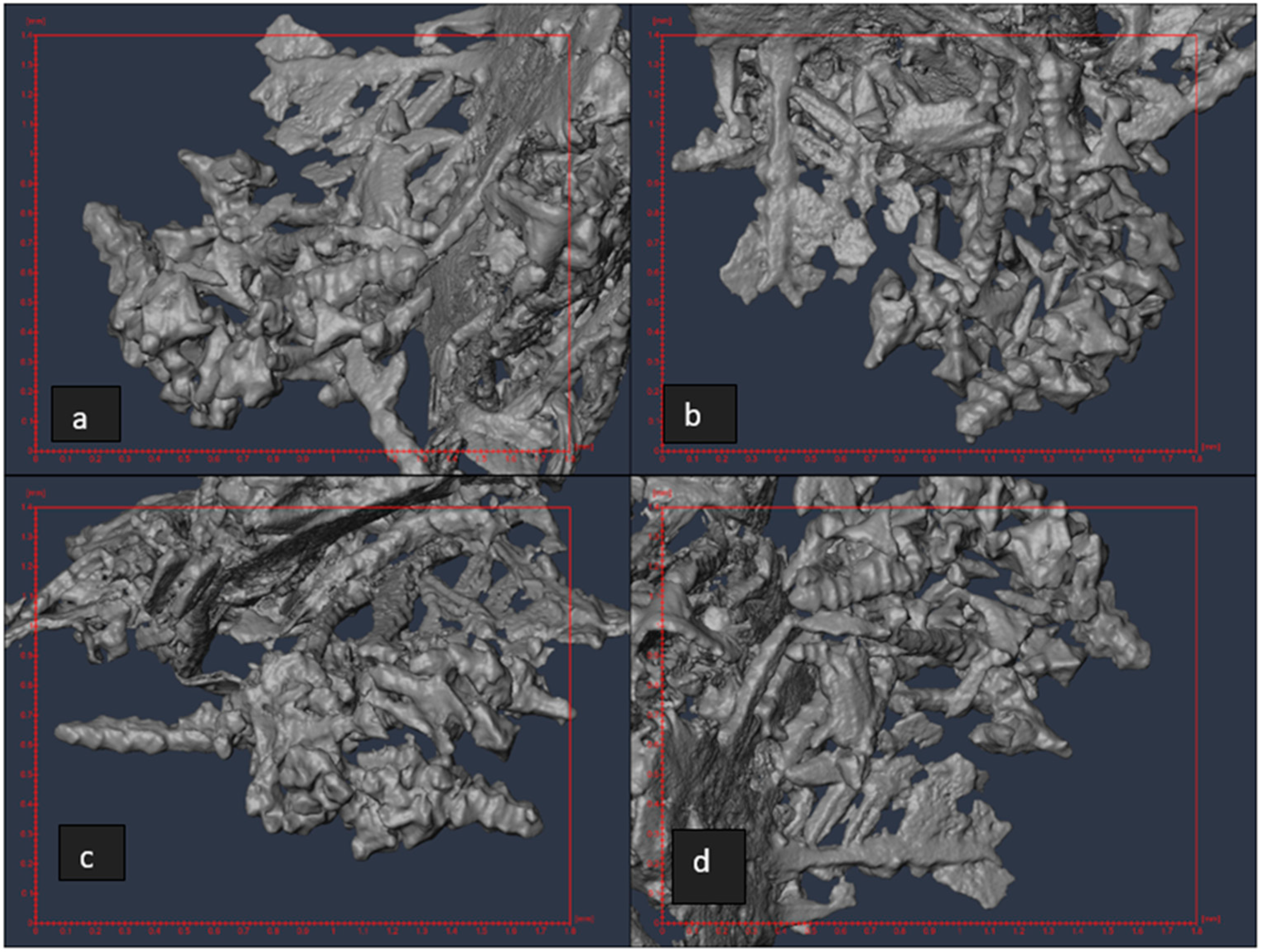 Minerals 14 00056 g008