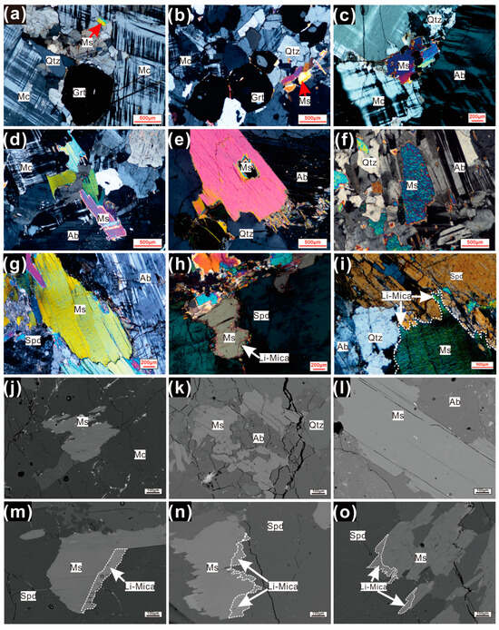 Whole-Rock Geochemistry and Mica Compositions in Lijiagou