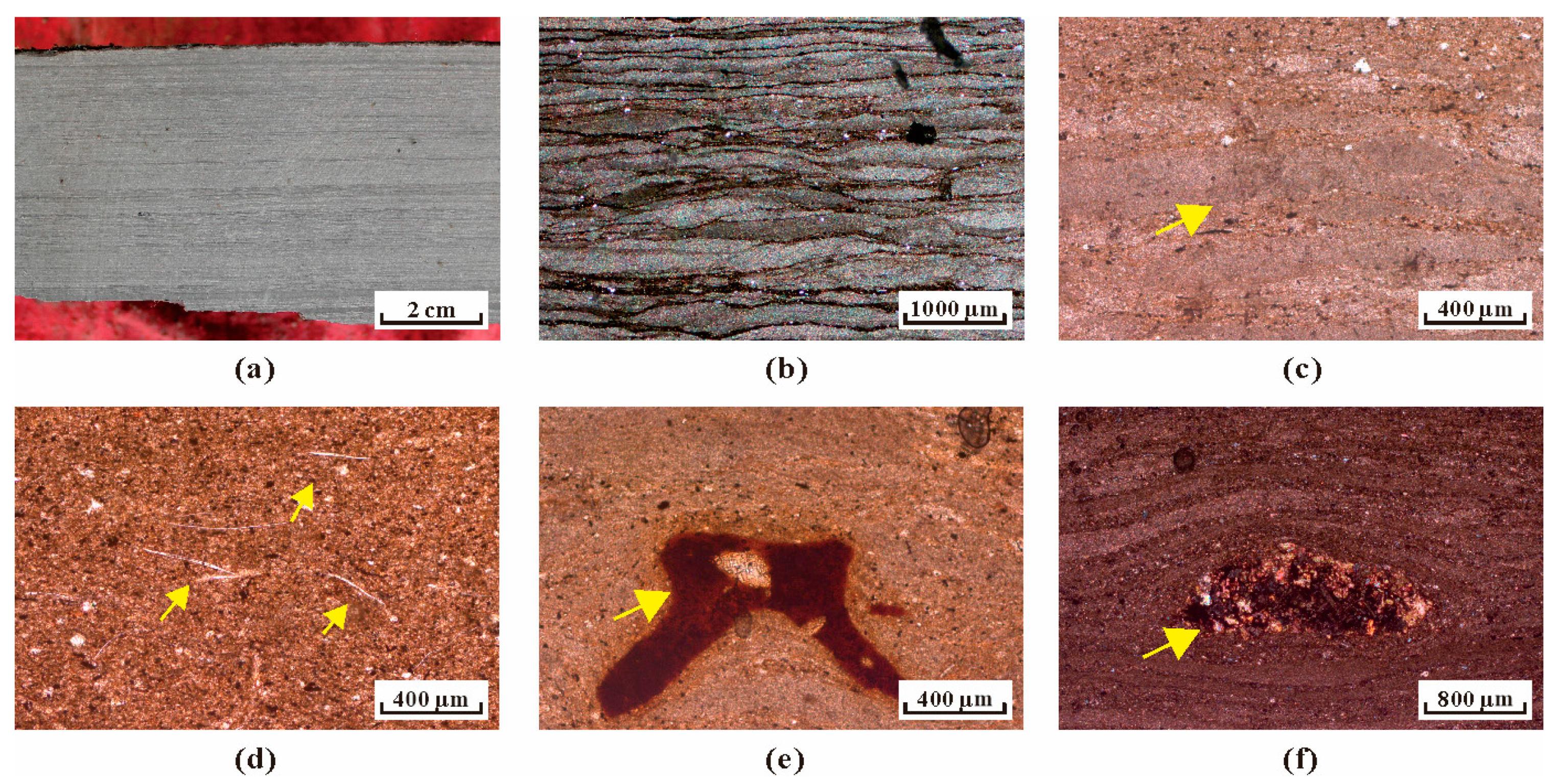 Minerals 14 00070 g006